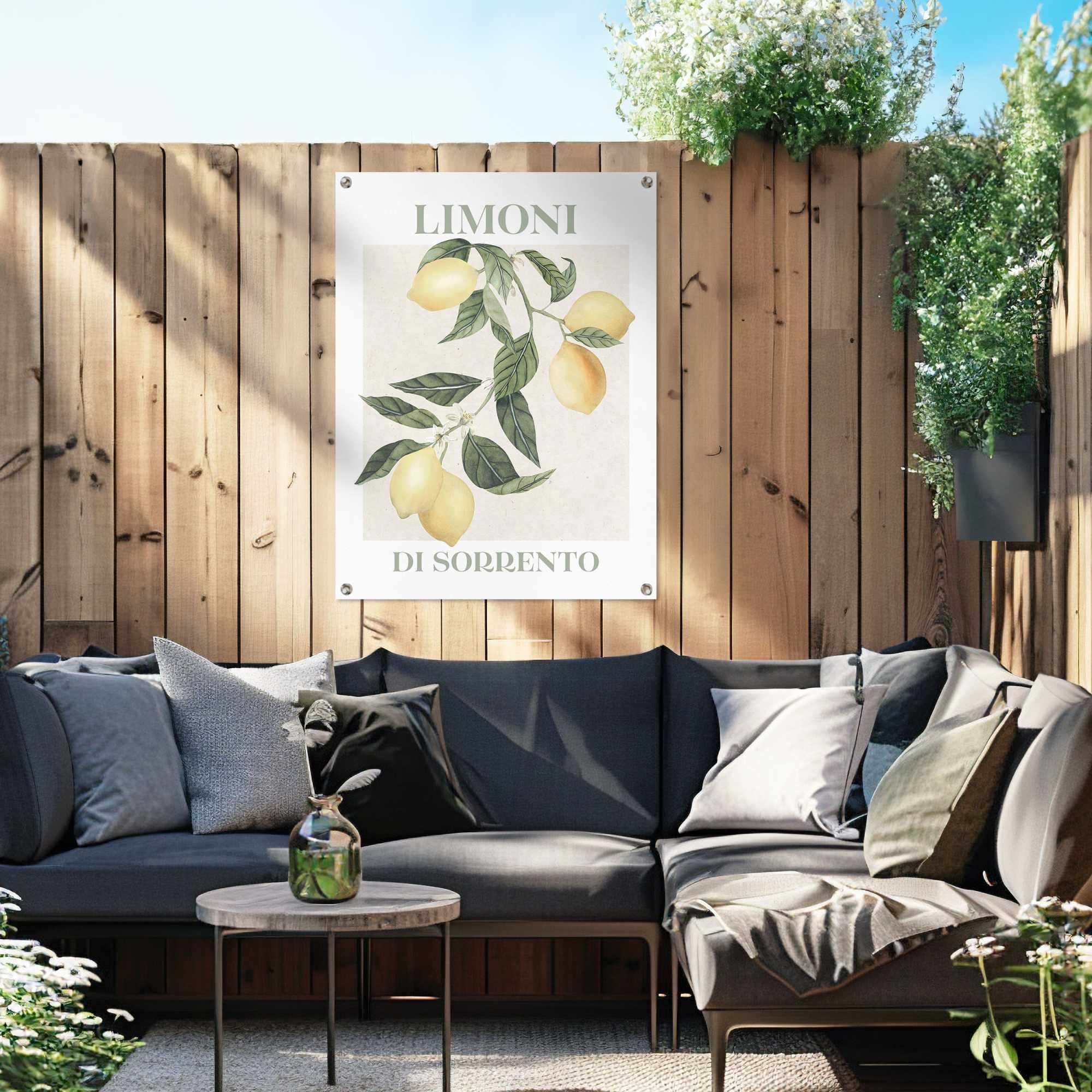 Reinders! Poster »Limoni«