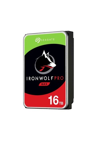 Seagate Interne HDD-Festplatte »ST16000NE000« ...