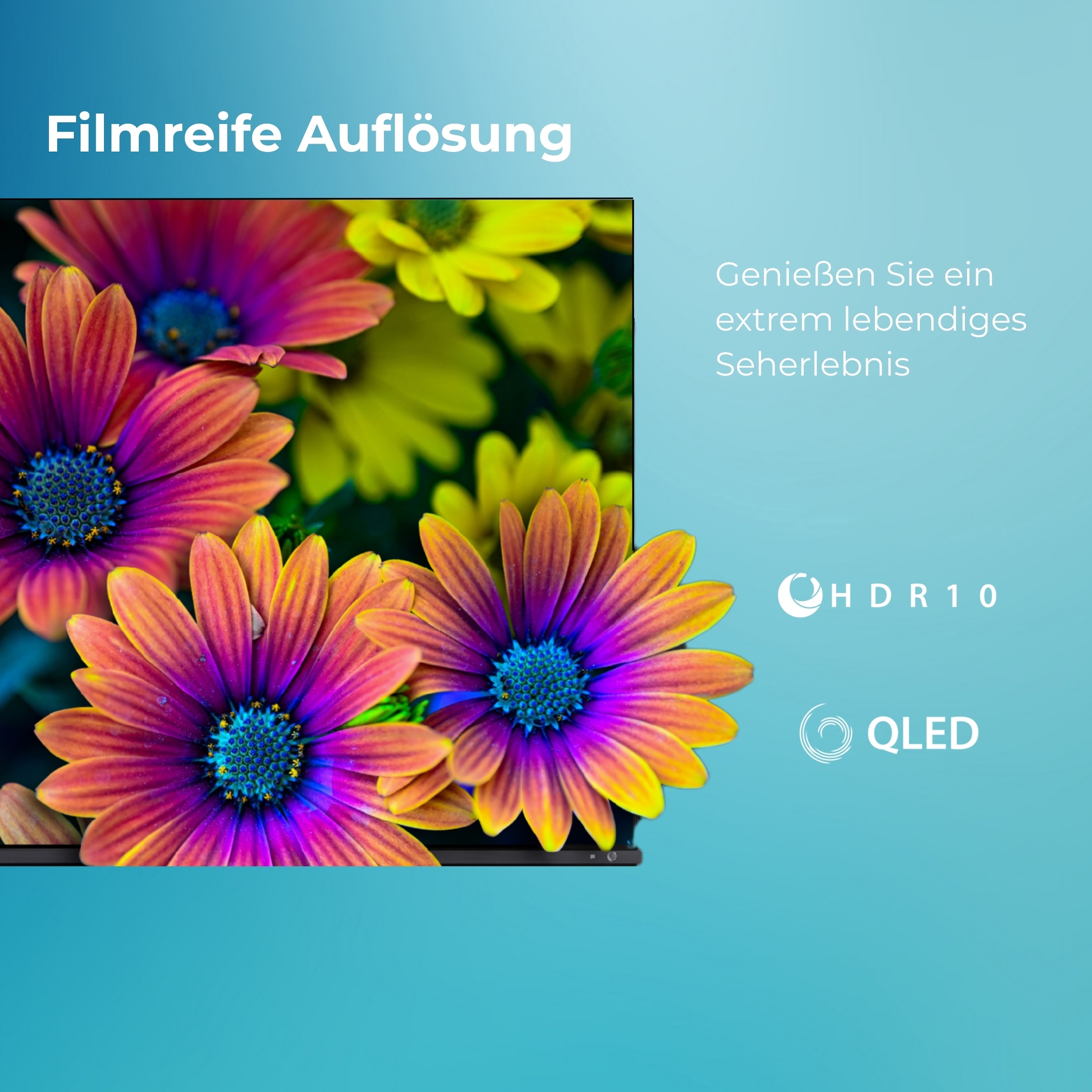 Toshiba QLED-Fernseher »55QV1563DDW« 139 cm/55 ″ Smart-TV