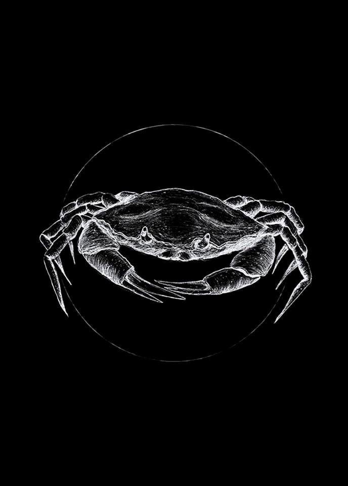 Komar Poster »Crab kaufen Black«, Höhe: 70cm | Tiere, BAUR