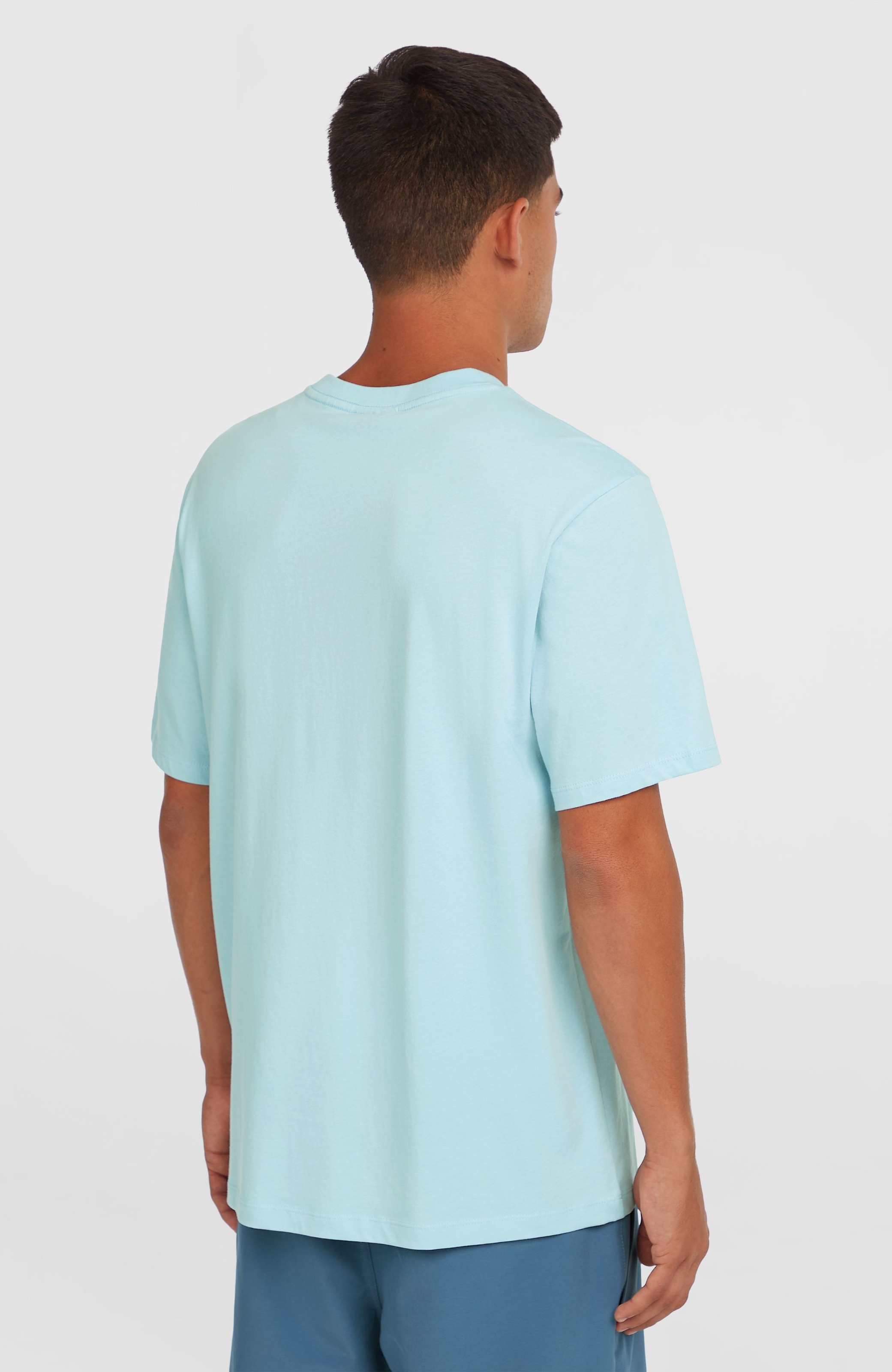 ONeill T-Shirt "ONEILL CHEST PRINT T-SHIRT" günstig online kaufen