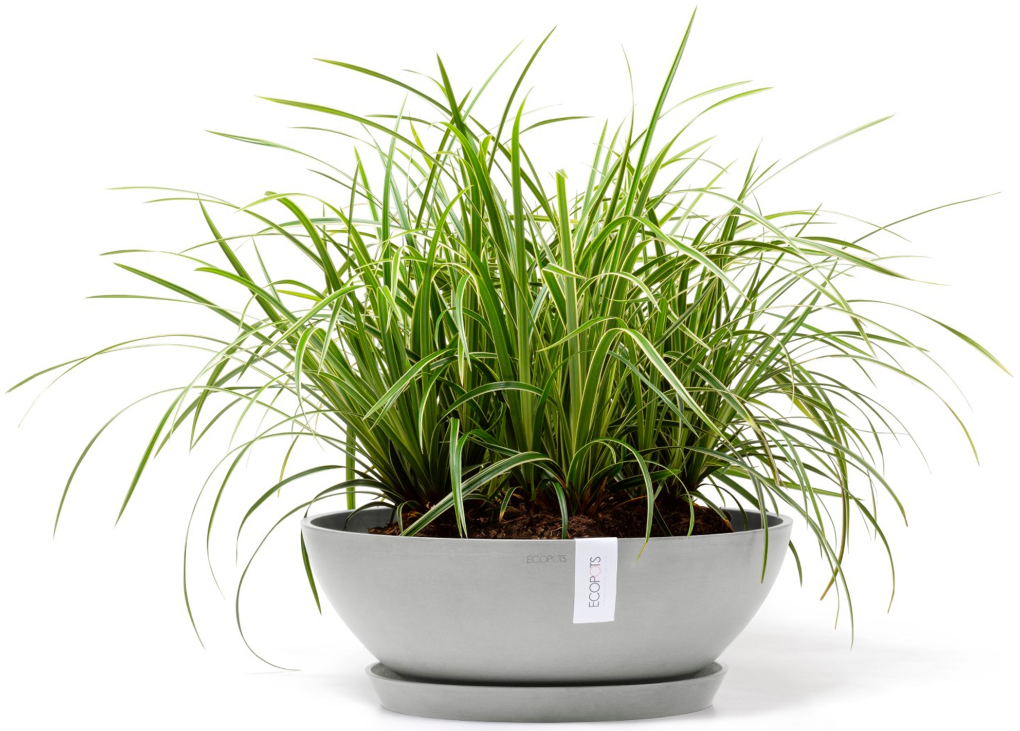 ECOPOTS Blumentopf »Vienna 50 Weißgrau«, für innen und außen: frostsicher, bruchsicher und lichtbeständig