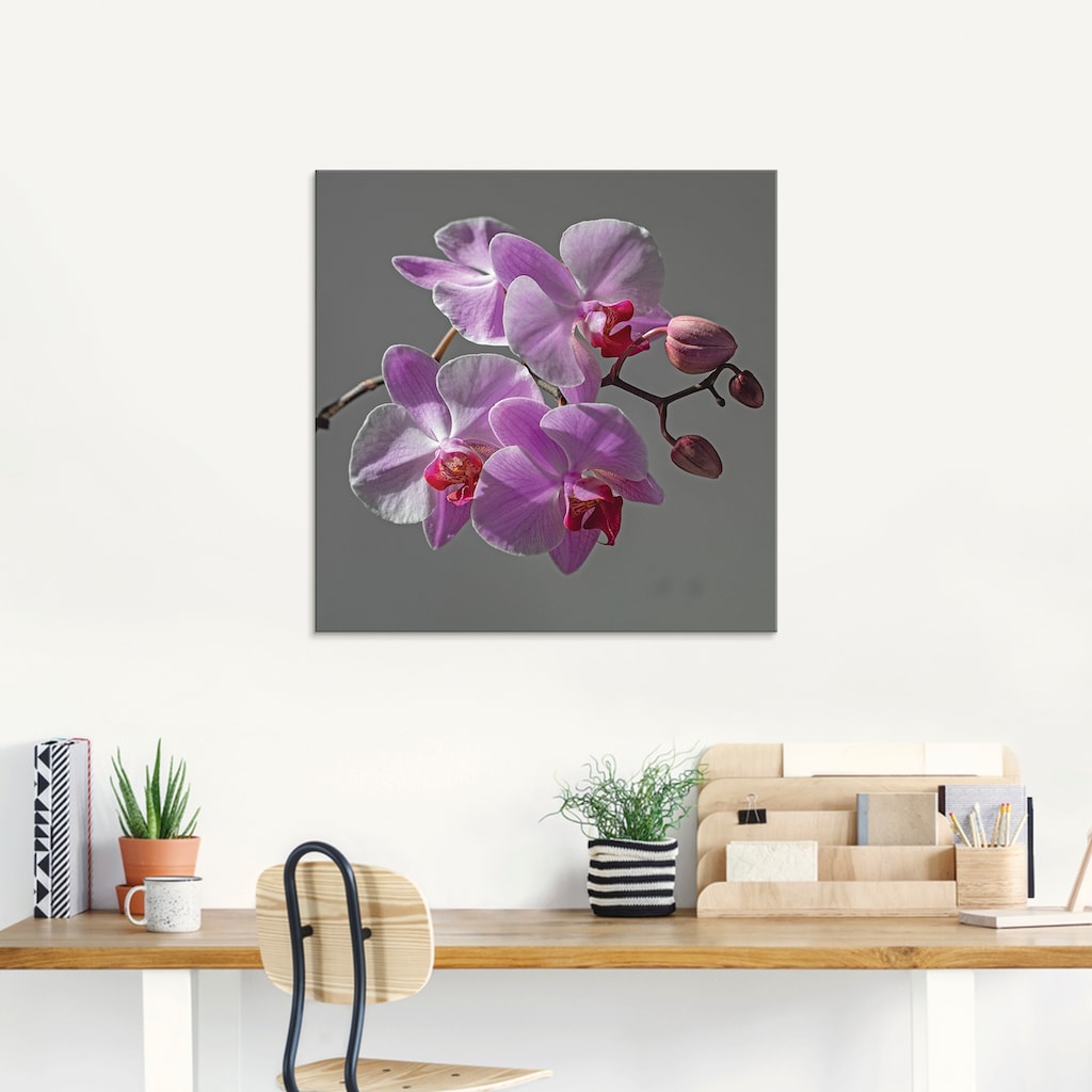 Artland Glasbild »Orchideentraum«, Blumen, (1 St.)