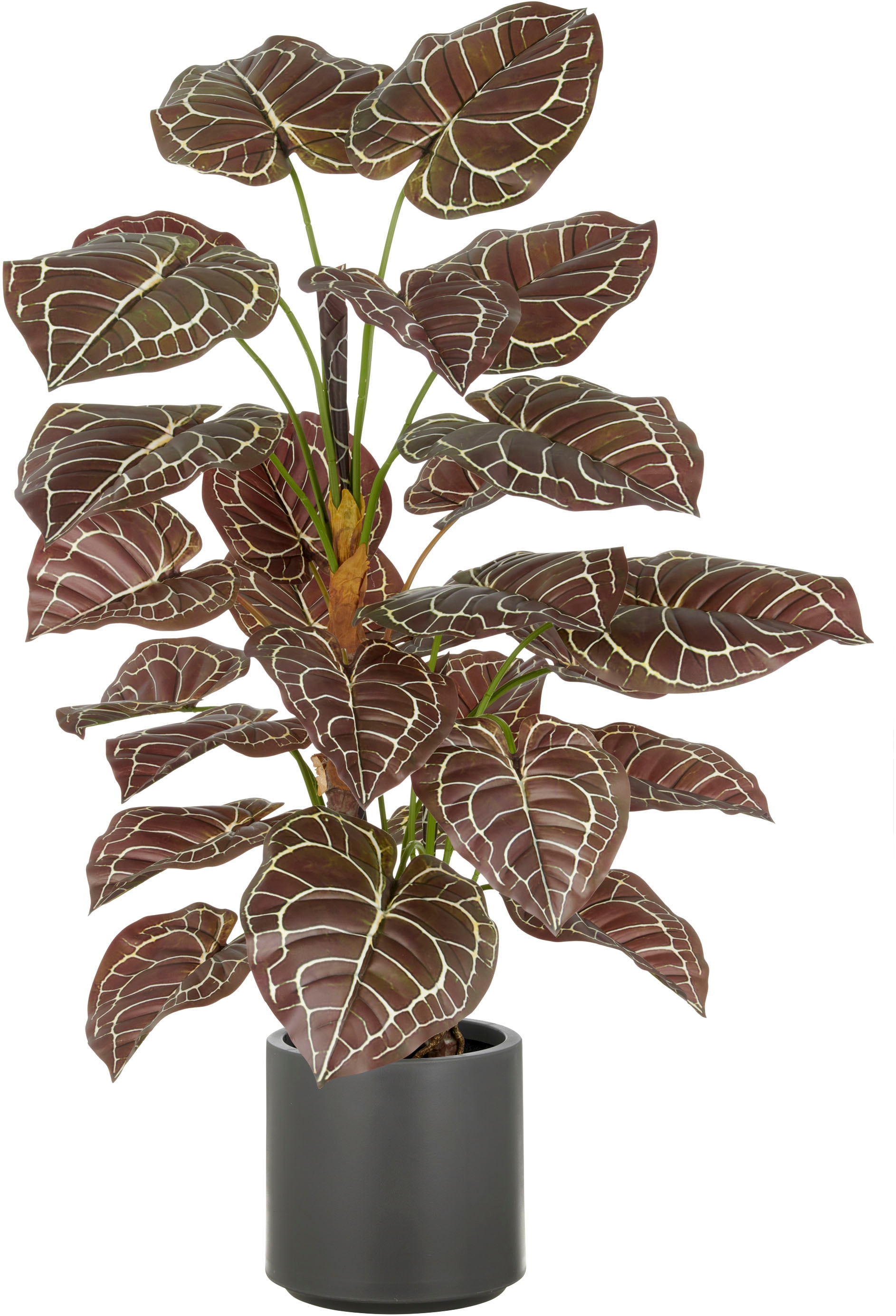 Creativ green Kunstpflanze "Anthurium", mit naturgetreuer Gestaltung günstig online kaufen