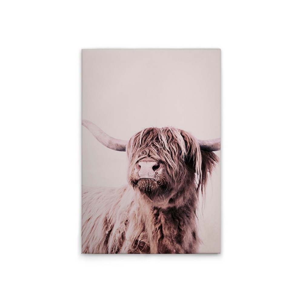 A.S. Création Leinwandbild "Highland Cattle 1 - Wandbild Creme Beige Keilra günstig online kaufen