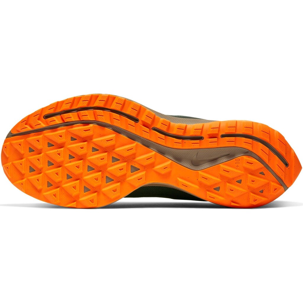 Nike Laufschuh »Pegasus 36 Trail GORE-TEX«