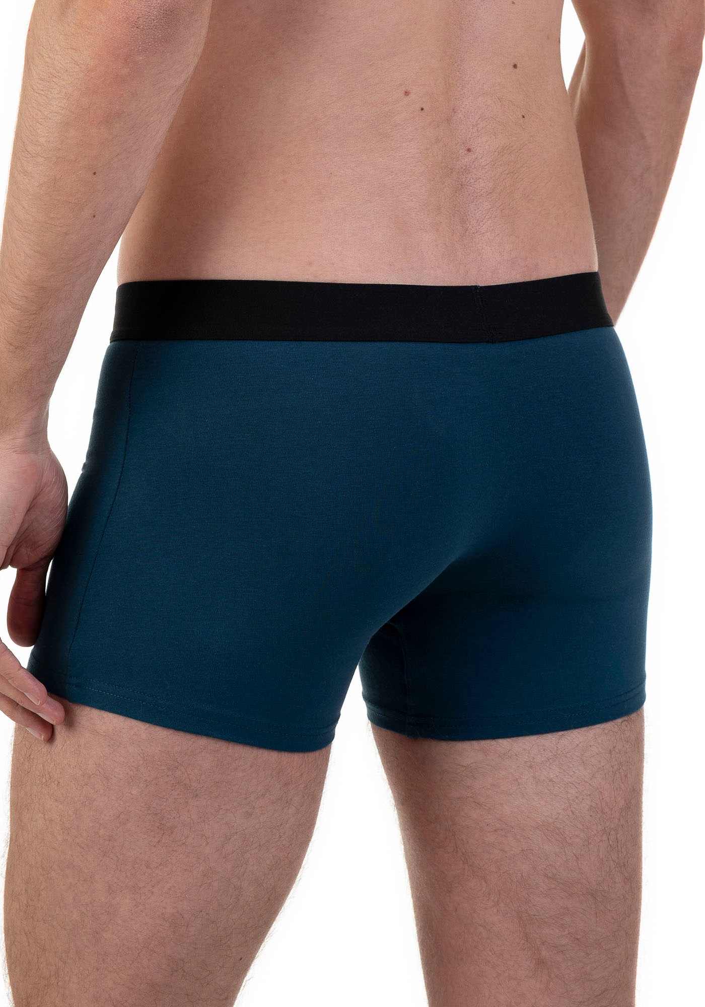 Bruno Banani Boxer »Flowing«, (2er Pack), mit kontrastreichem Logobund