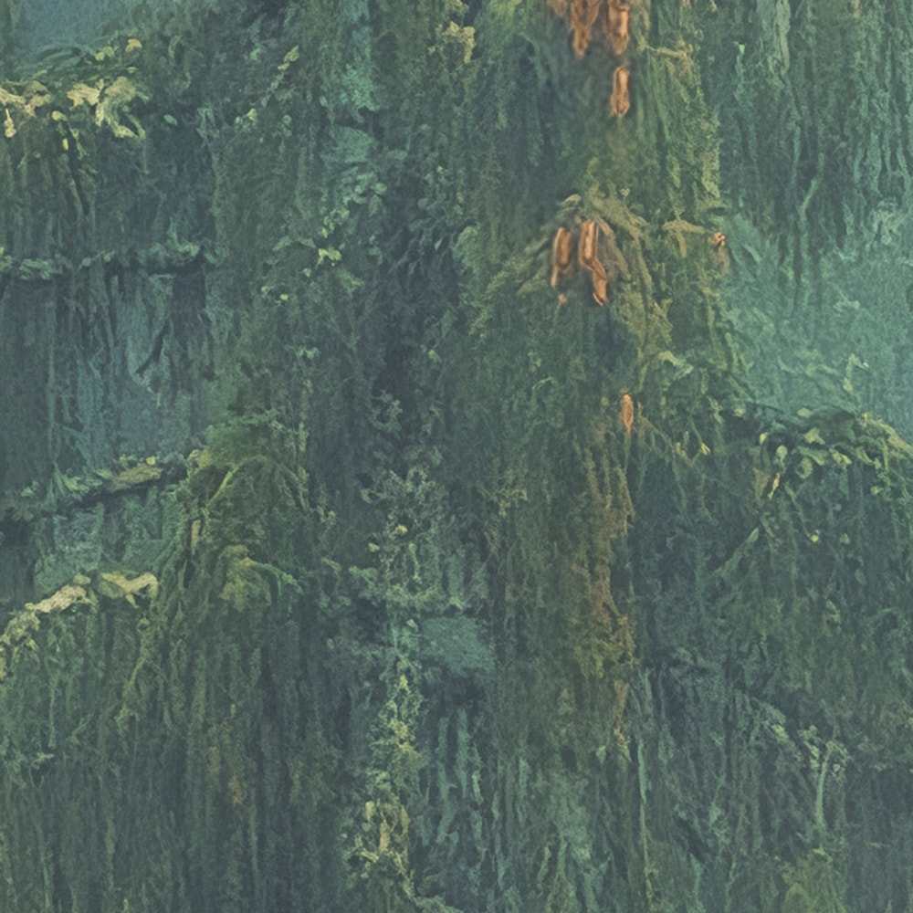 Komar Fototapete »Vlies Fototapete - Foggy Firs - Größe 400 x 250 cm« Motiv | bedruckt glatt