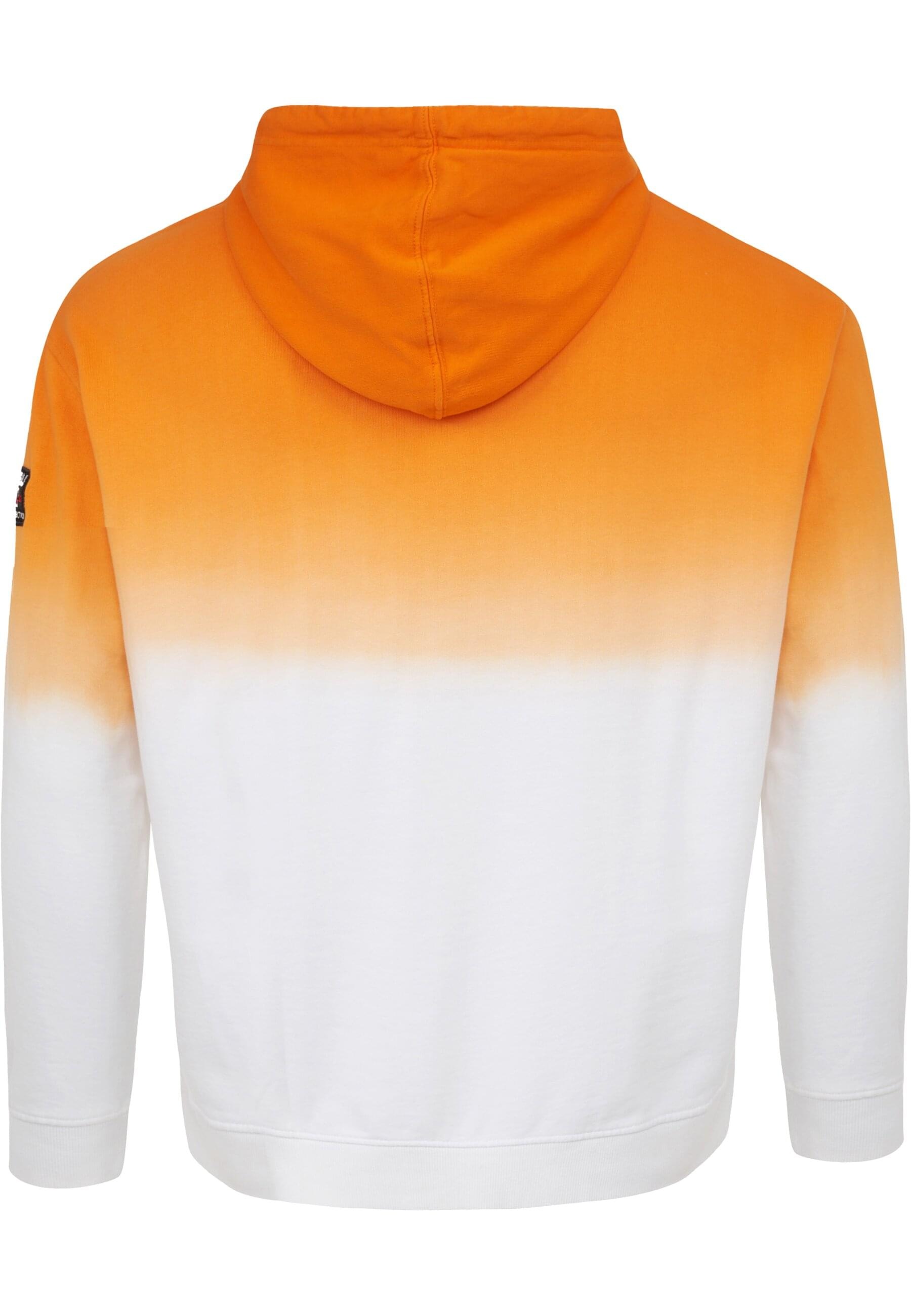 Fubu Kapuzensweatshirt »Fubu Herren FM213-003-1 Corporate Hooded Sweatshirt Gradient« 1 Stk. tlg.