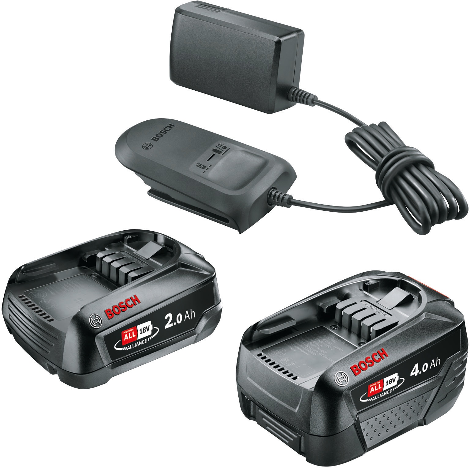 Bosch Home & Garden Akku Starter-Set, 18,0 V, bestehend aus 2 Akkus und 1 Ladegerät