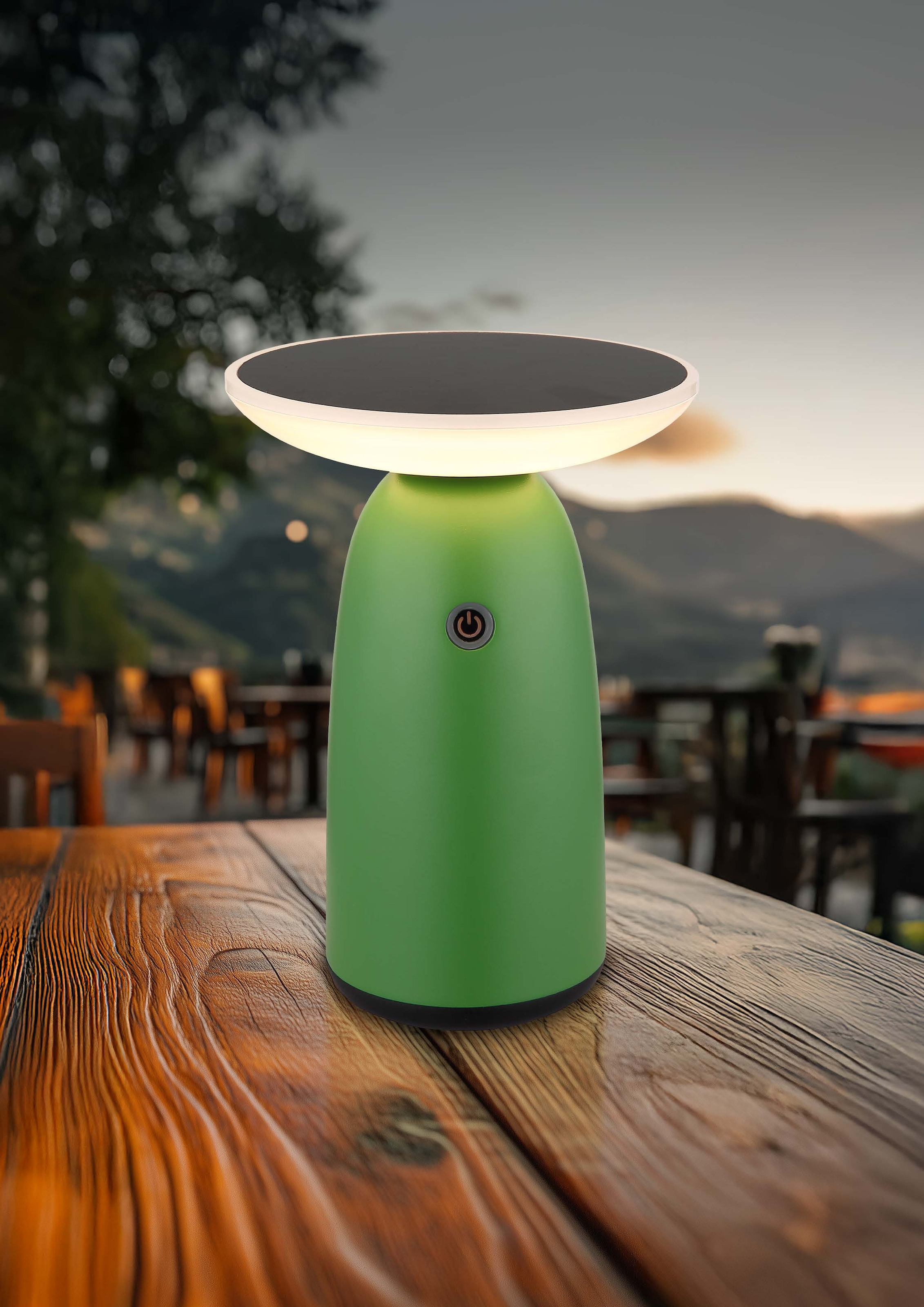 GLOBO LIGHTING LED Solarleuchte »SOLARLEUCHTE ALUMINIUM GRÜN, 1XLED«, Leuchtmittel LED-Modul | LED fest integriert, Solar/grün/Touchdimmer/IP54/kann mit USB-C Kabel geladen werden