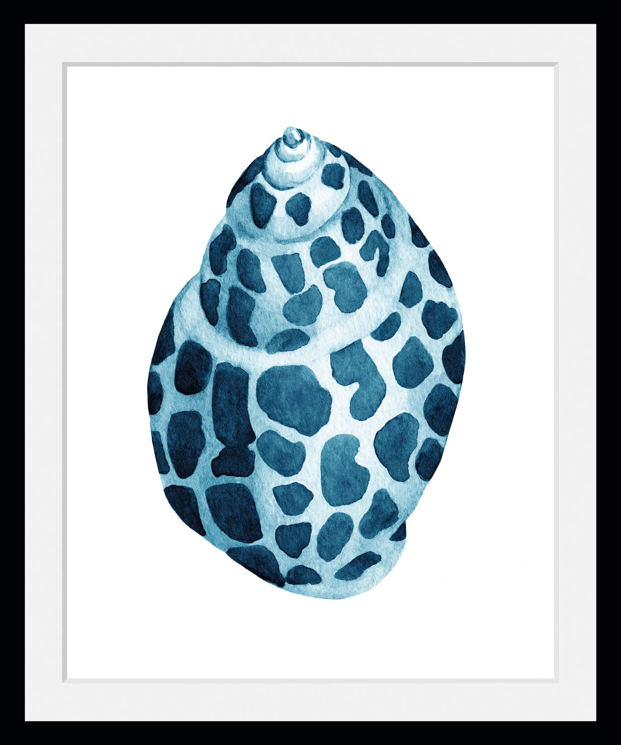 queence Bild »Muschel«, Meer-Wassertiere-Kunst, (1 St.), HD Premium Poster-Druck inkl. Holzrahmen