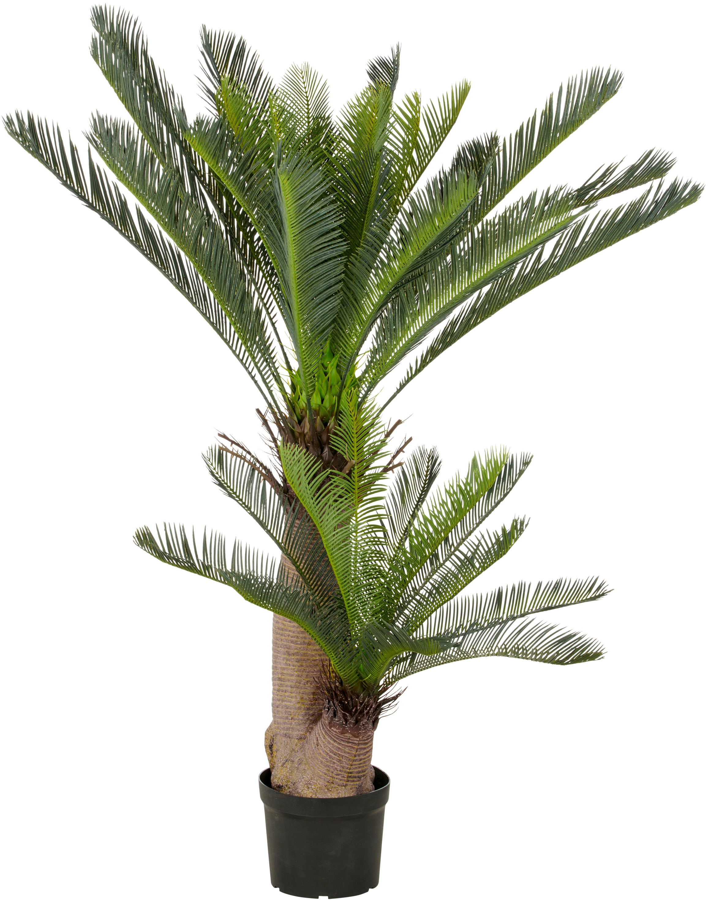 Creativ green Kunstpalme "Cycaspalme", mit detailgetreuer Gestaltung günstig online kaufen