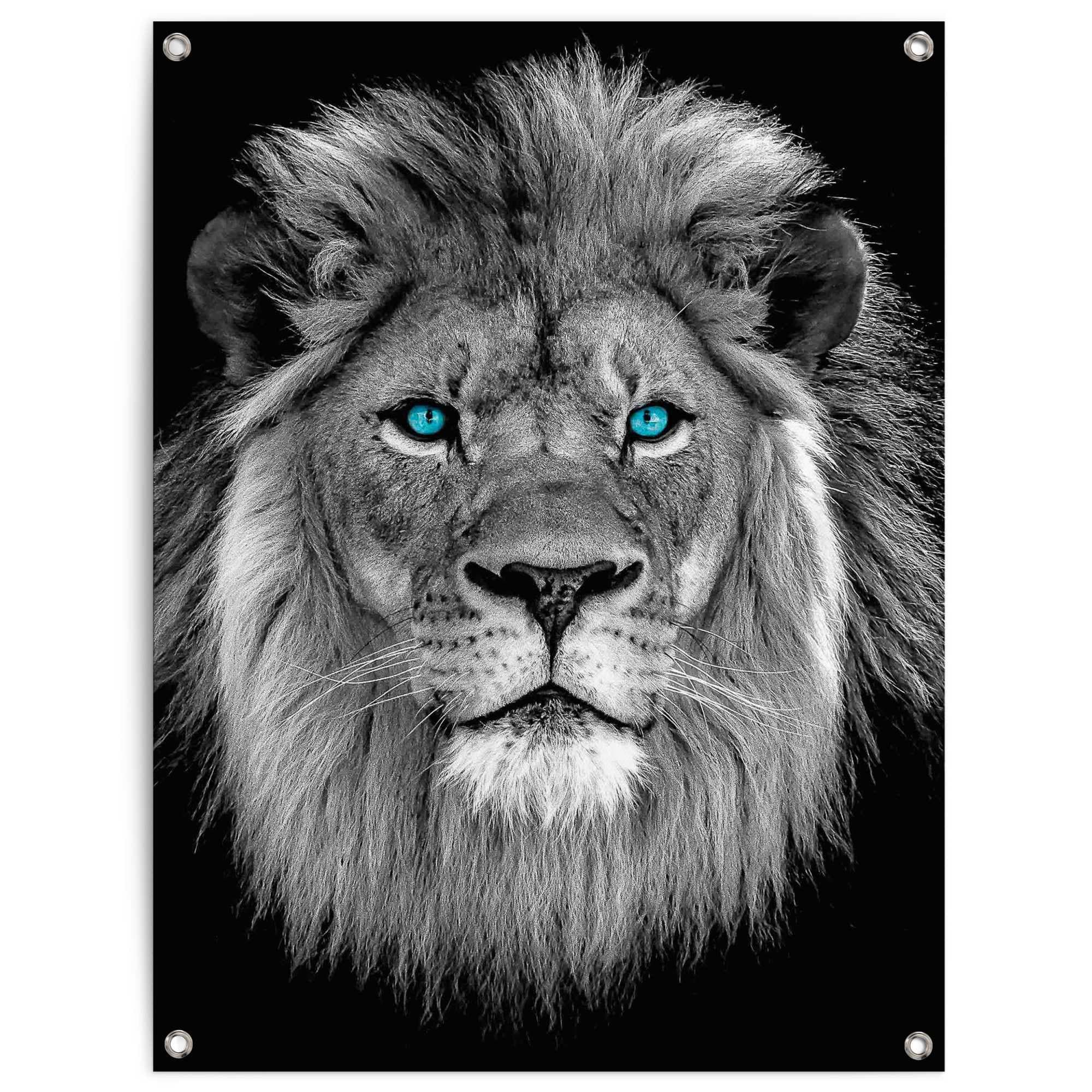 Reinders! Poster »Löwe mit blaue Augen«, Outdoor für Garten oder Balkon