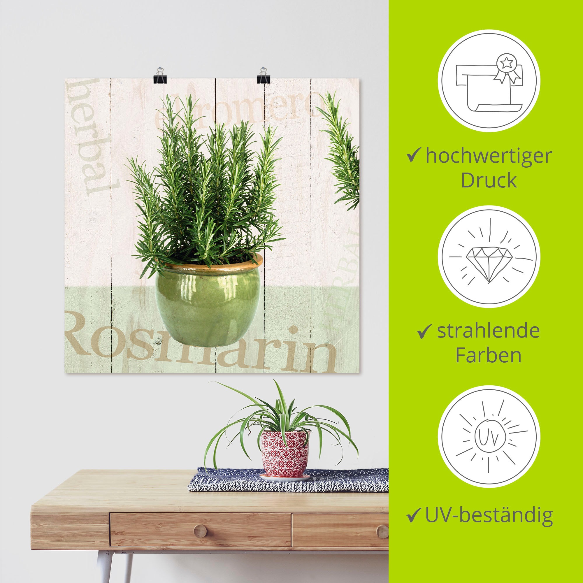 Artland Wandbild »Rosmarin«, Pflanzen, (1 St.), als Alubild, Outdoorbild, Leinwandbild, Poster in verschied. Größen