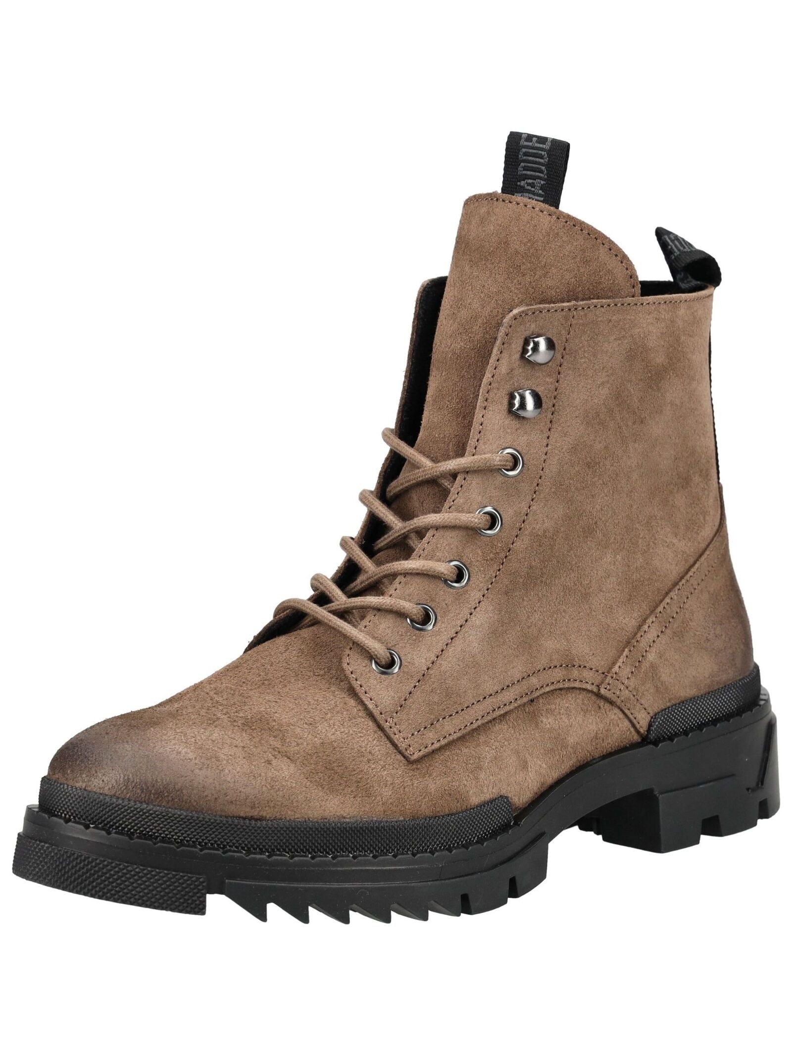 STEVE MADDEN Schnürstiefelette "STEVE MADDEN Stiefelette Veloursleder" günstig online kaufen