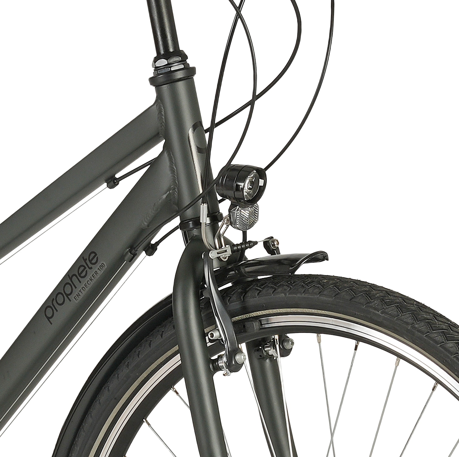 Prophete Trekkingrad »Prophete Entdecker 100« 18 Gang Shimano Kettenschaltung