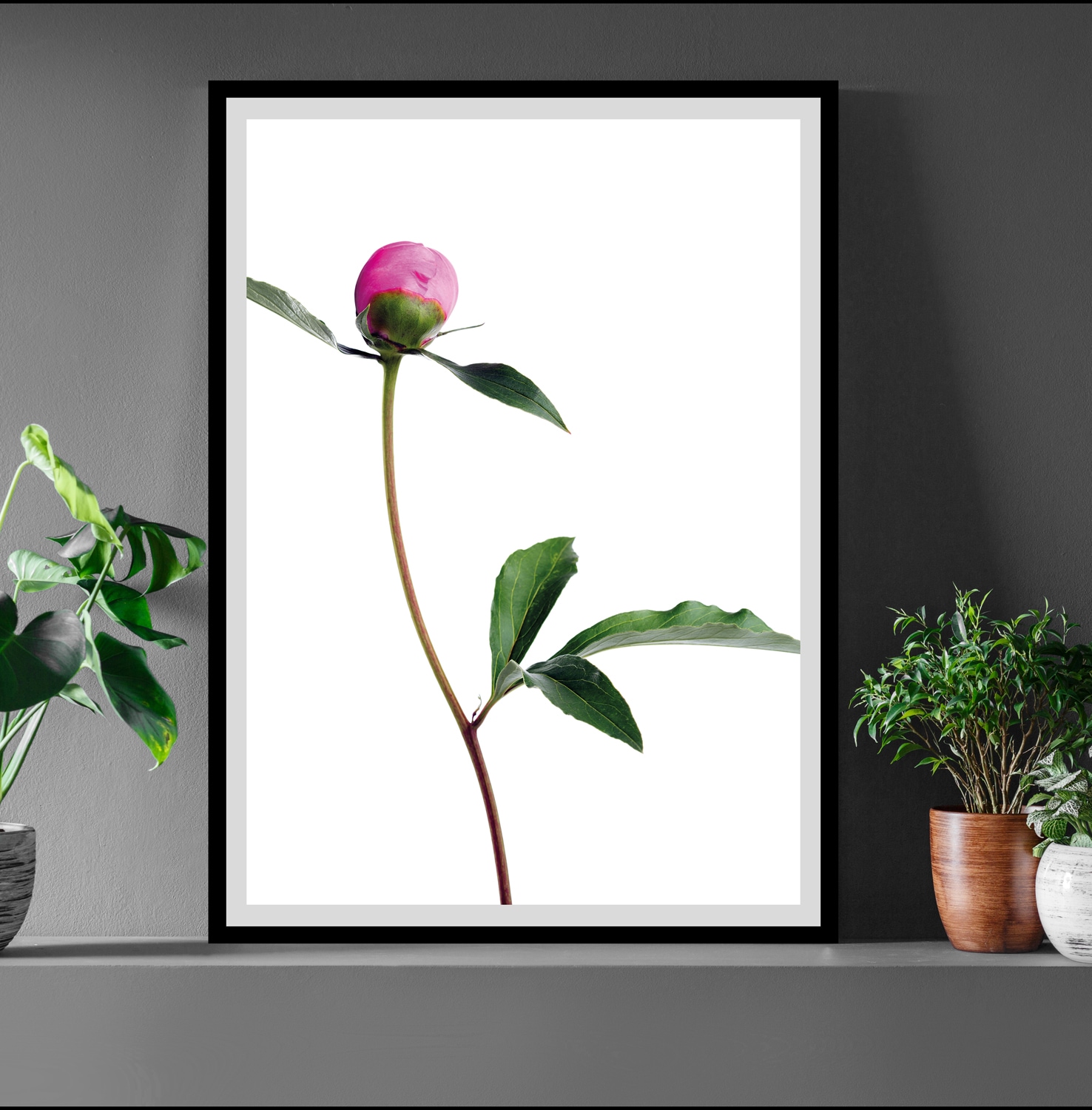 queence Bild "Manuel" Blumen Blumenbilder Foto Kunst Pflanzenbilder gerahmt, Rosen
