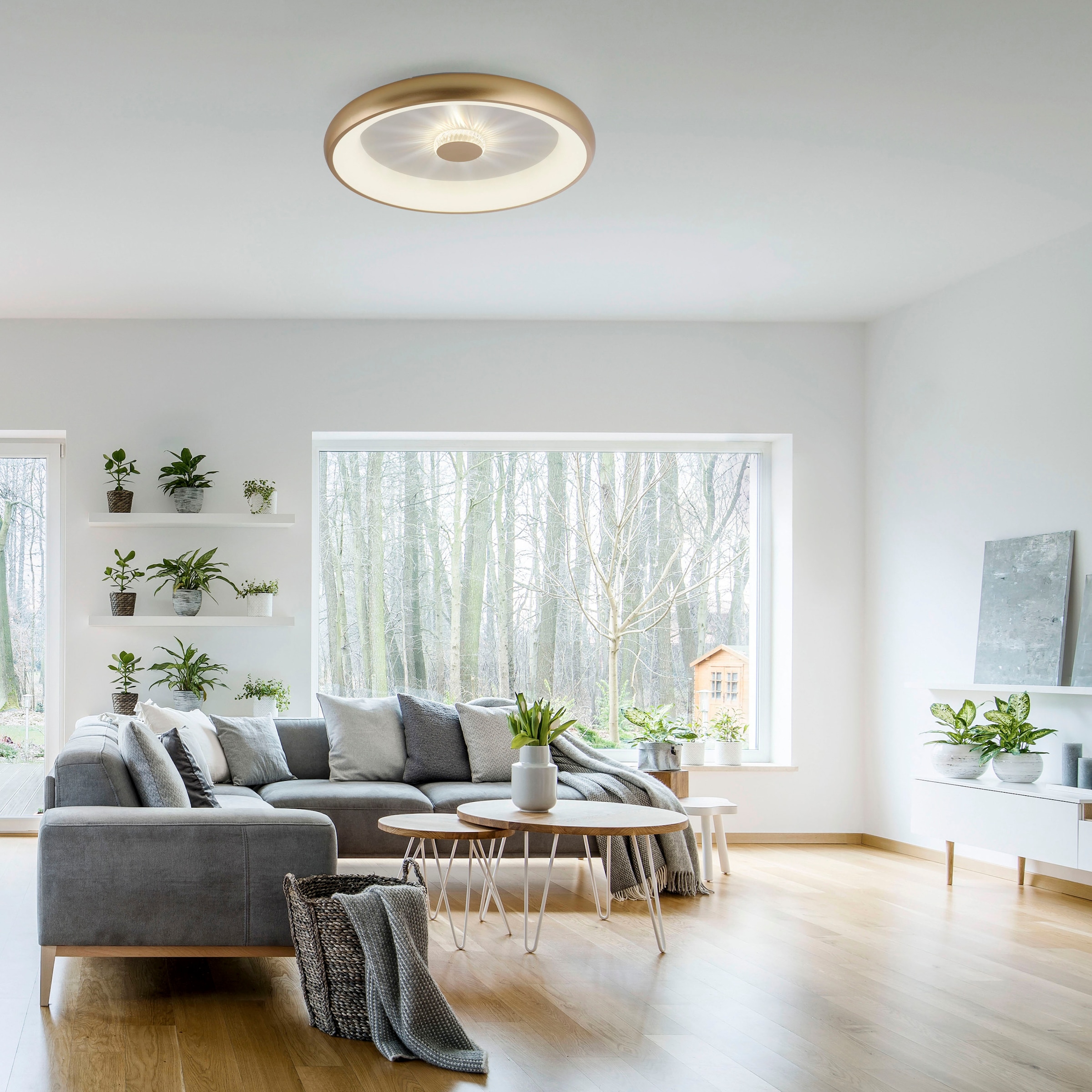 JUST LIGHT Deckenleuchte »VERTIGO«, 1 flammig, Leuchtmittel LED-Board | LED fest integriert