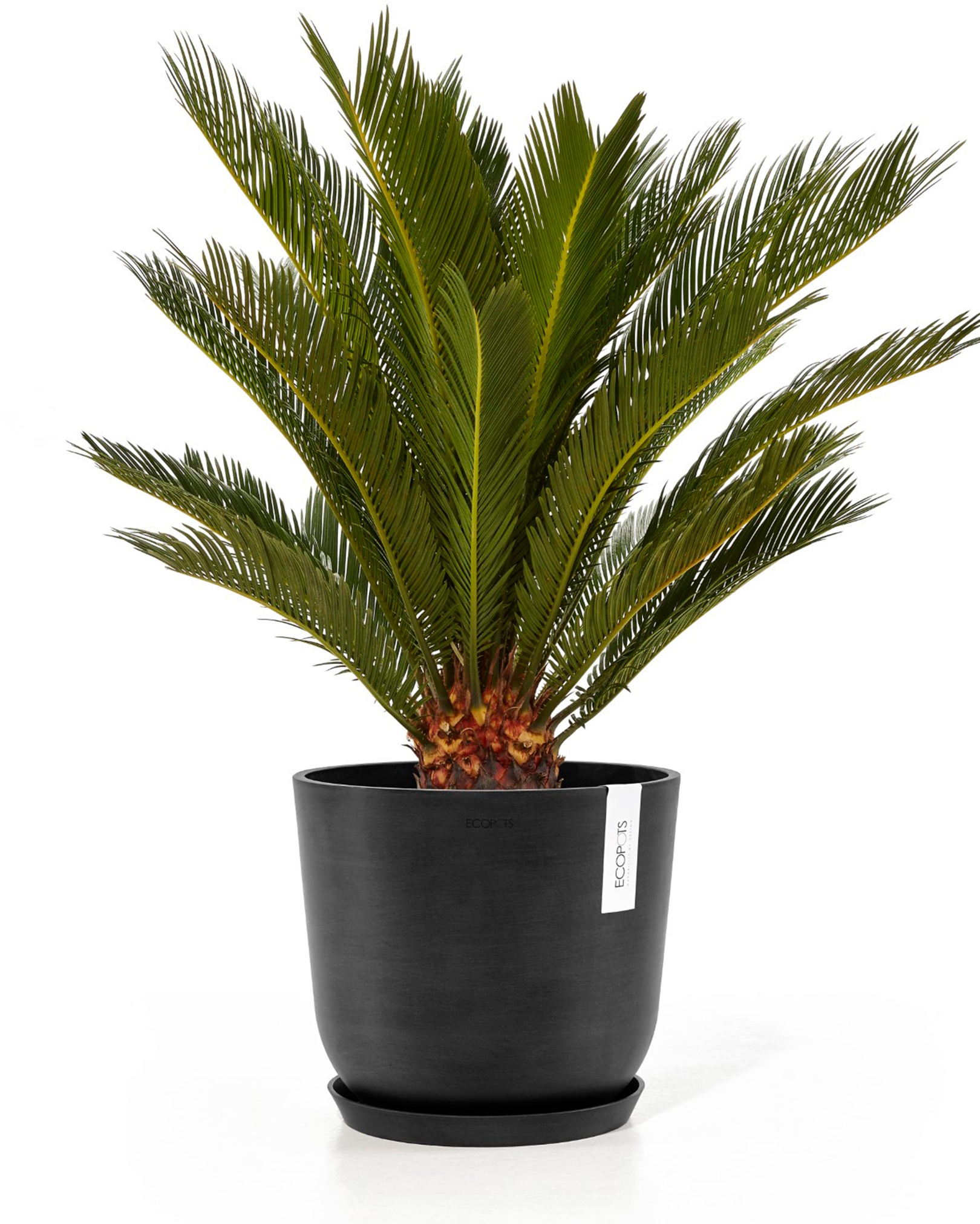 ECOPOTS Blumentopf »Oslo 25 Dunkelgrau«, für innen und außen: frostsicher, bruchsicher und lichtbeständig