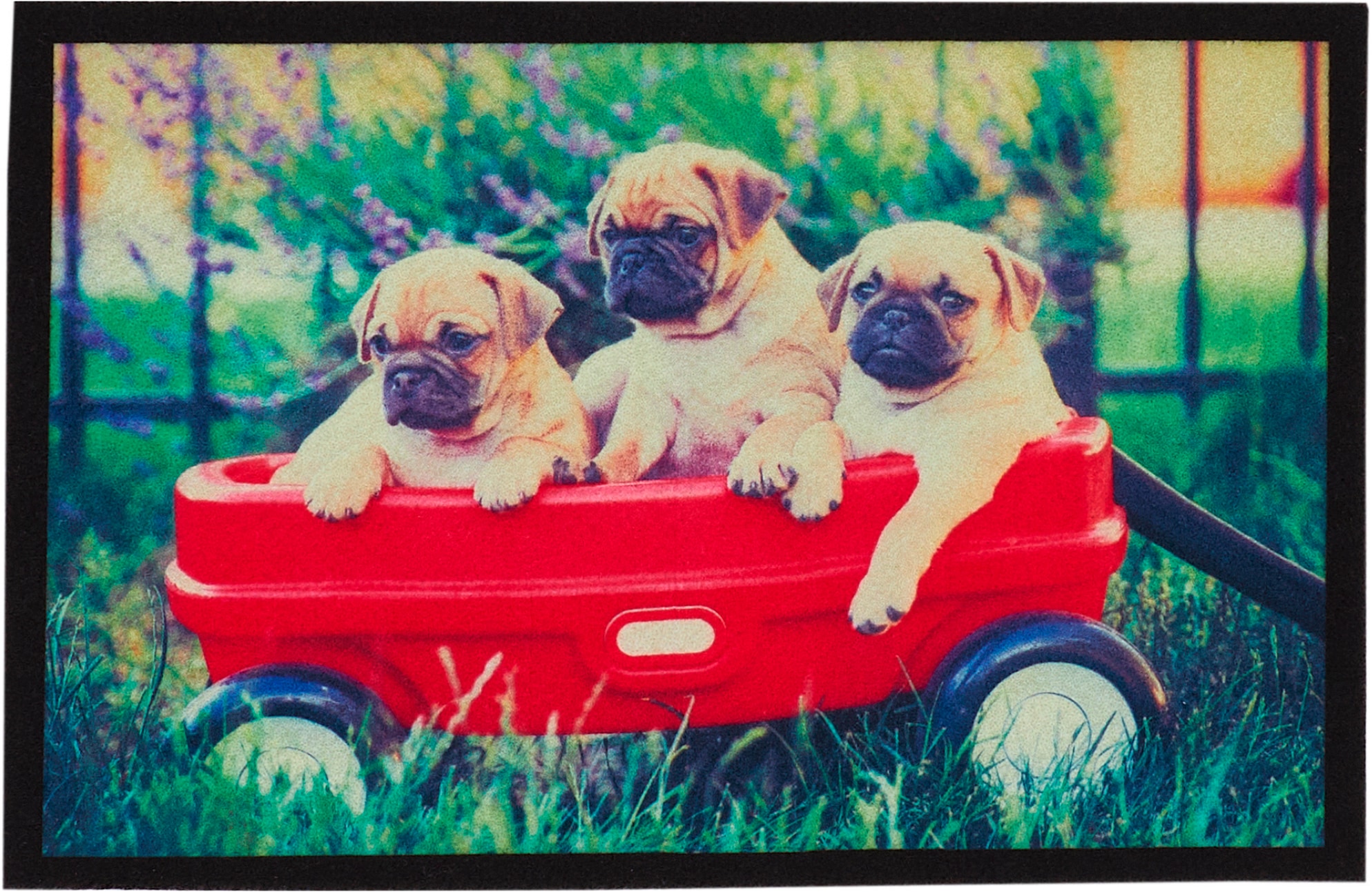 Andiamo "Modern" rechteckig 6,5 mm Höhe Schmutzfangmatte, bedruckt, diverse günstig online kaufen