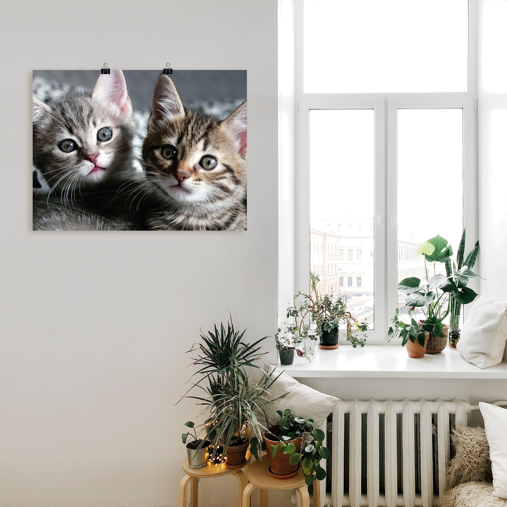 Artland Wandbild »Katze«, Haustiere, (1 St.), als Alubild, Outdoorbild, Leinwandbild, Poster, Wandaufkleber