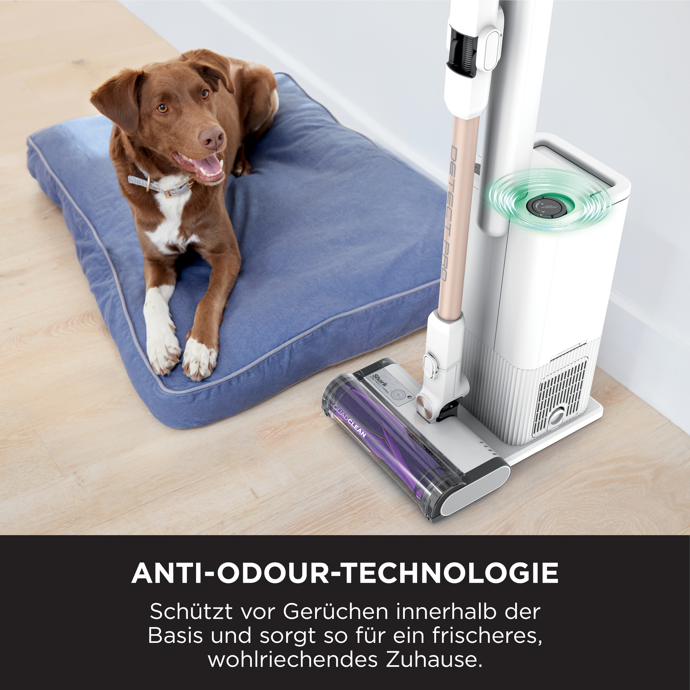 Shark Akku-Stielstaubsauger »DETECT PRO«, mit automatischer Absaugstation IW3611EU