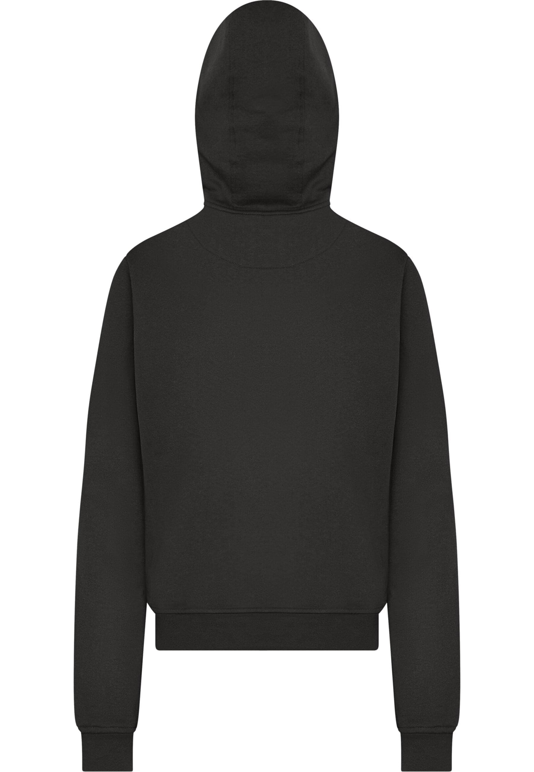ABSOLUTE CULT Kapuzenpullover »ABSOLUTE CULT«, (1 tlg.)