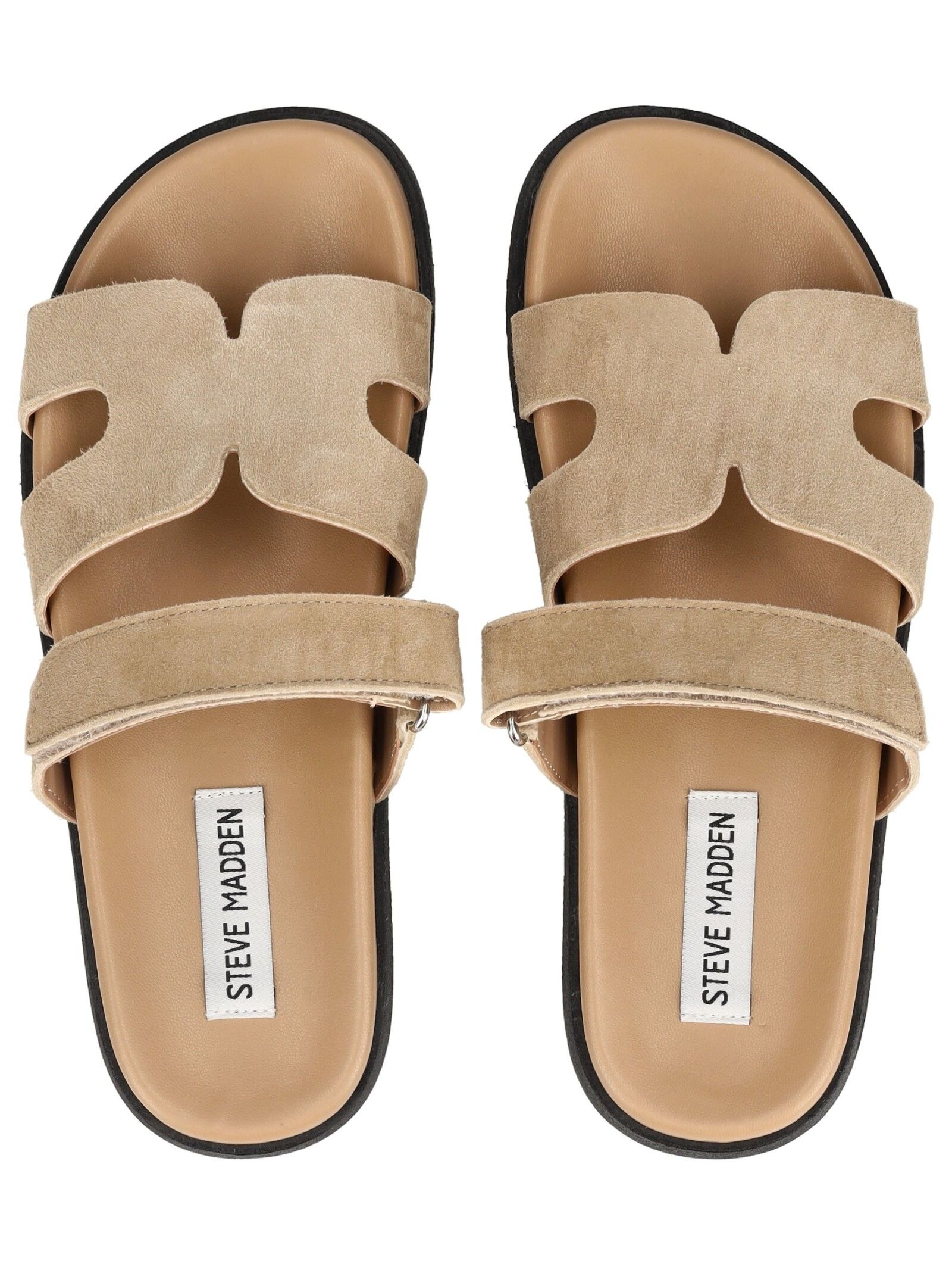 STEVE MADDEN Pantolette "STEVE MADDEN Pantoletten Leder" günstig online kaufen