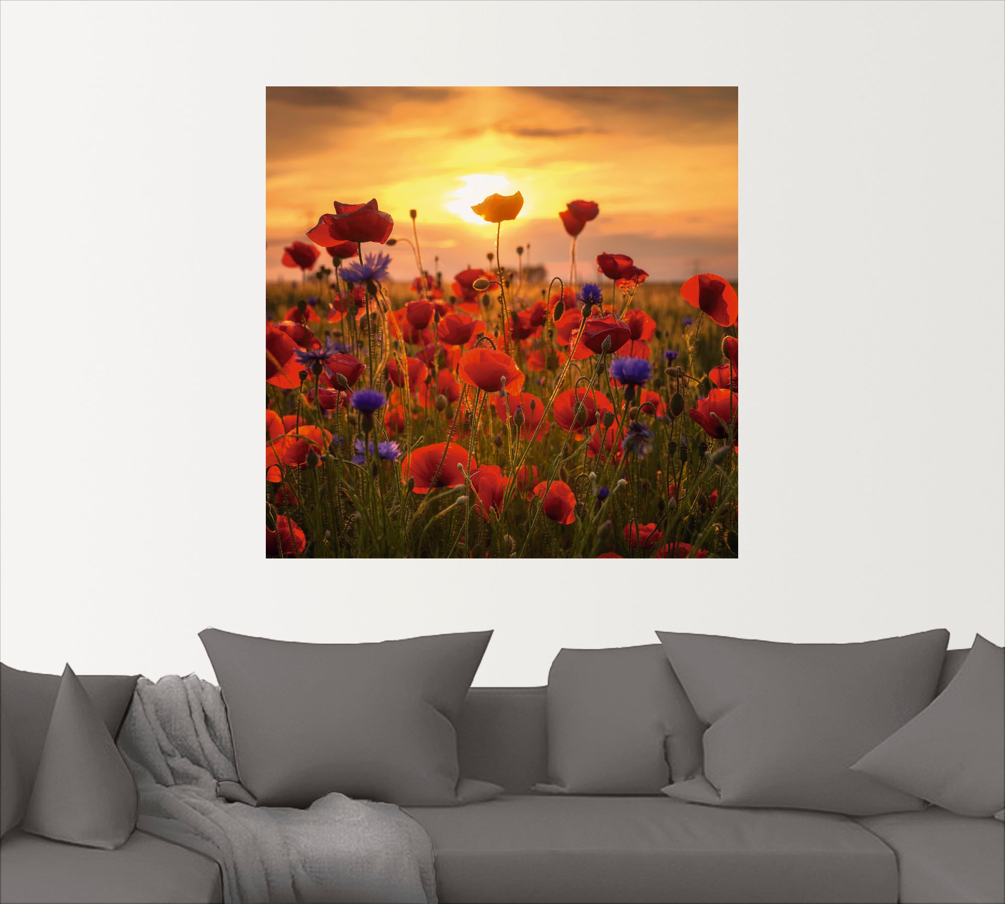 Artland Wandbild "Mohnblumen im Abendlicht", Blumen, (1 St.), als Alubild, günstig online kaufen