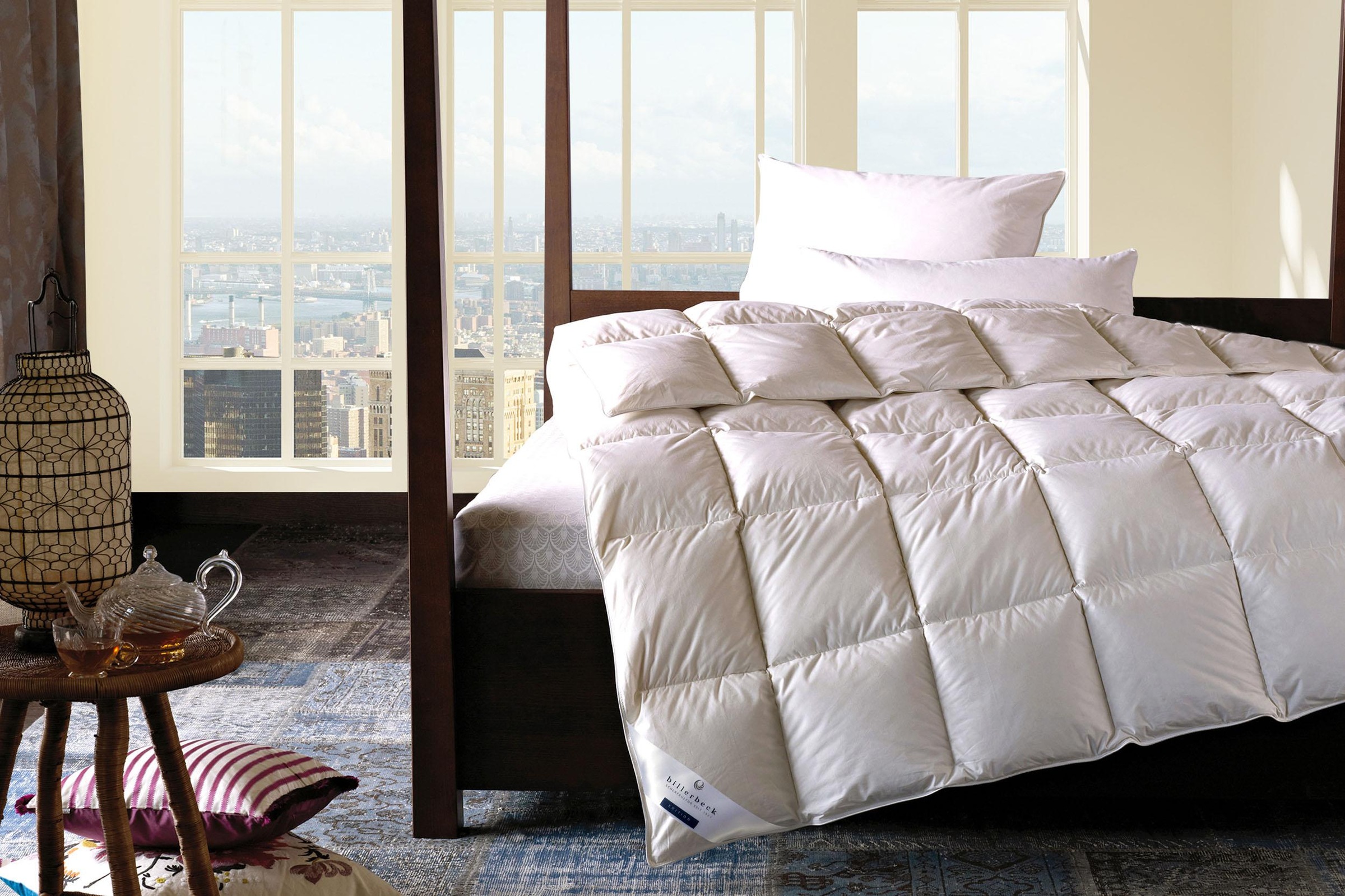 billerbeck Federbettdecke "Ebby 50 Mono, Bettdecke in 135x200, 155x220, 200 günstig online kaufen