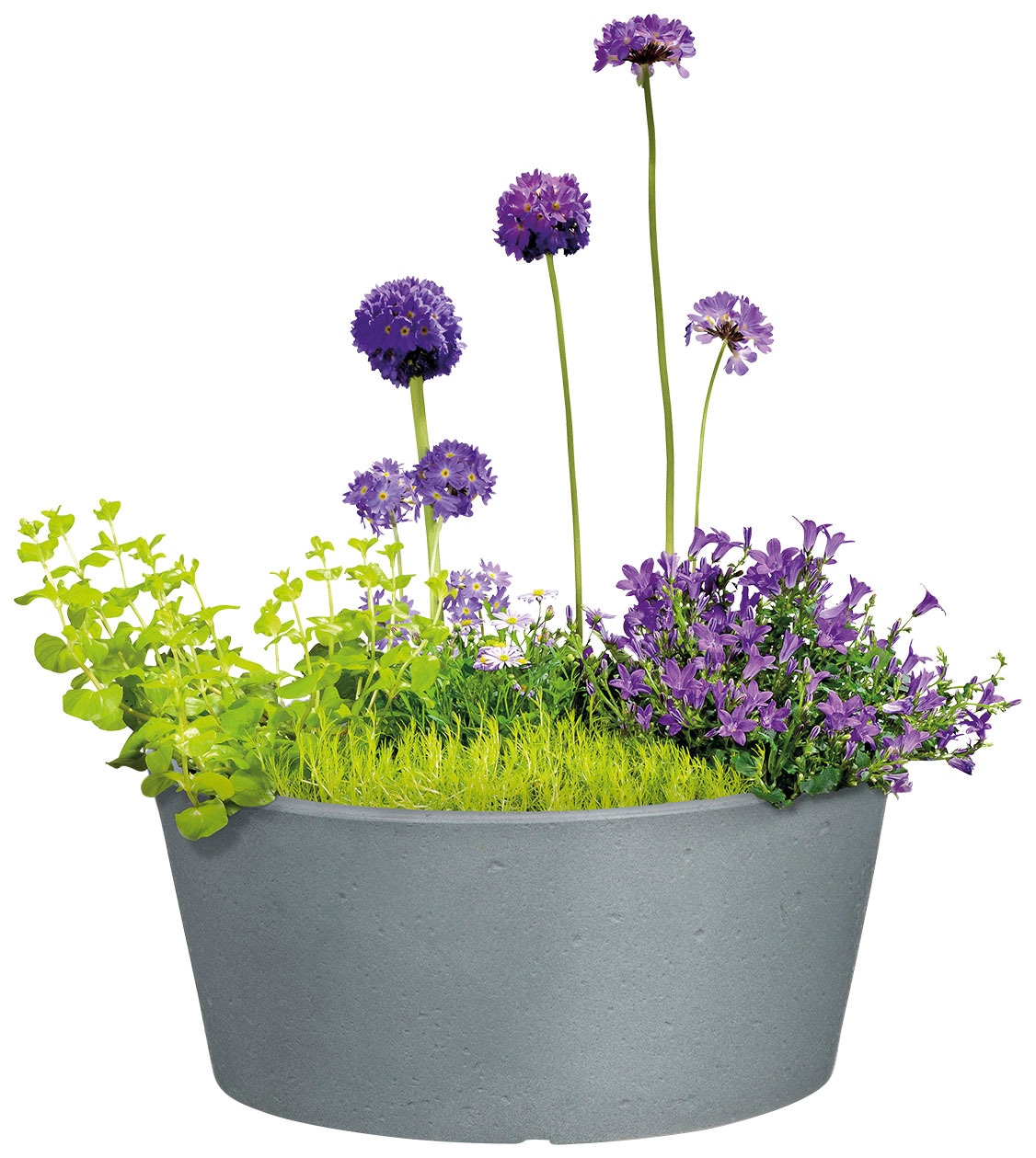 Scheurich Blumentopf »40/239 C-CONE BOWL«