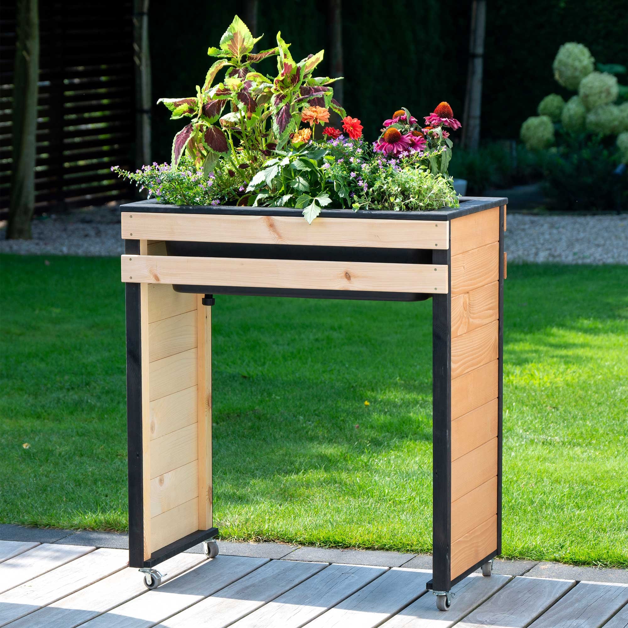 dobar Hochbeet ""Wheely" auf Rollen Gr. M" Das Hochbeet ist ca. 77 x 47 x 8 günstig online kaufen