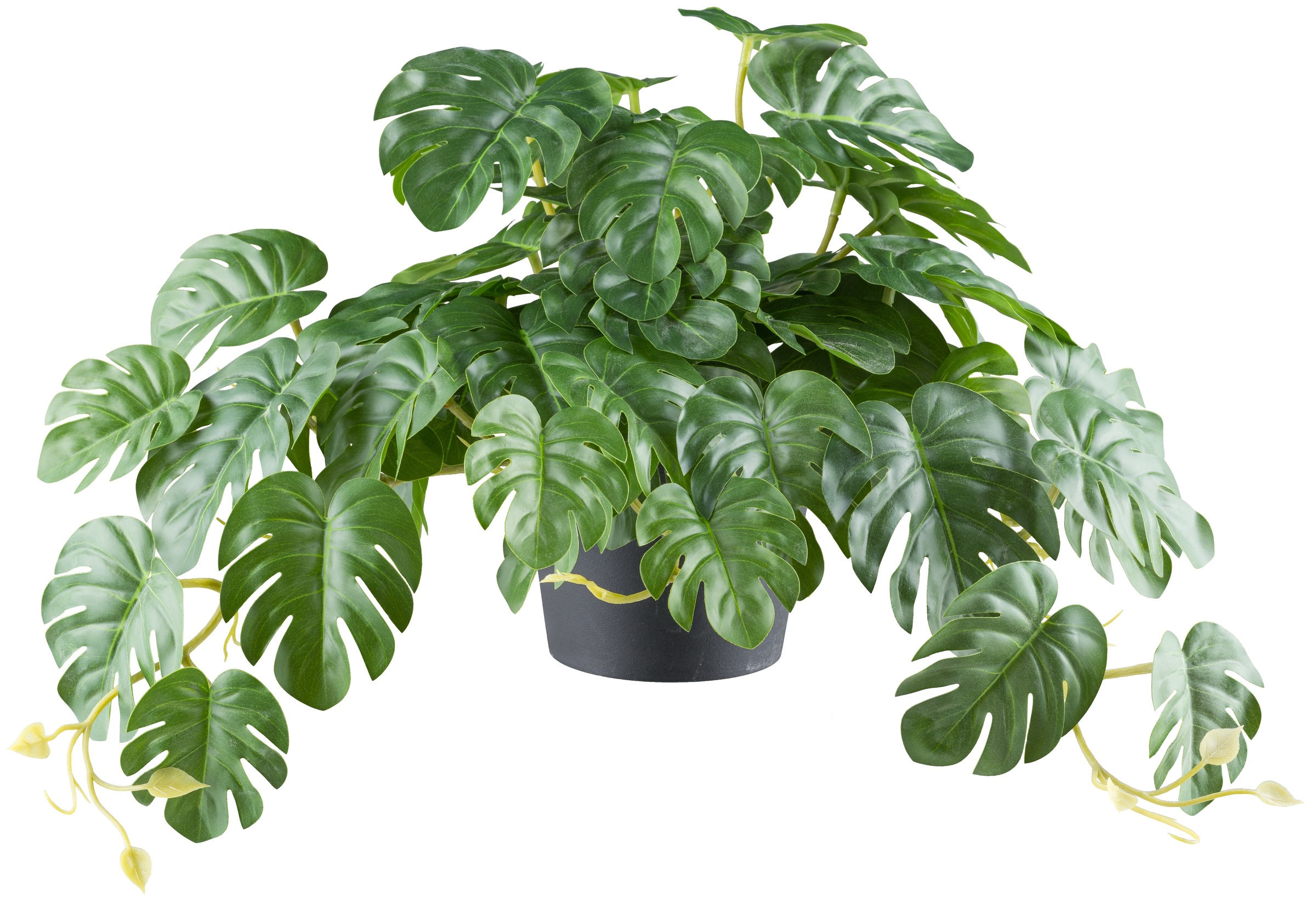 Creativ green Kunstpflanze "Splitphilodendron", mit naturgetreuem Blattwerk