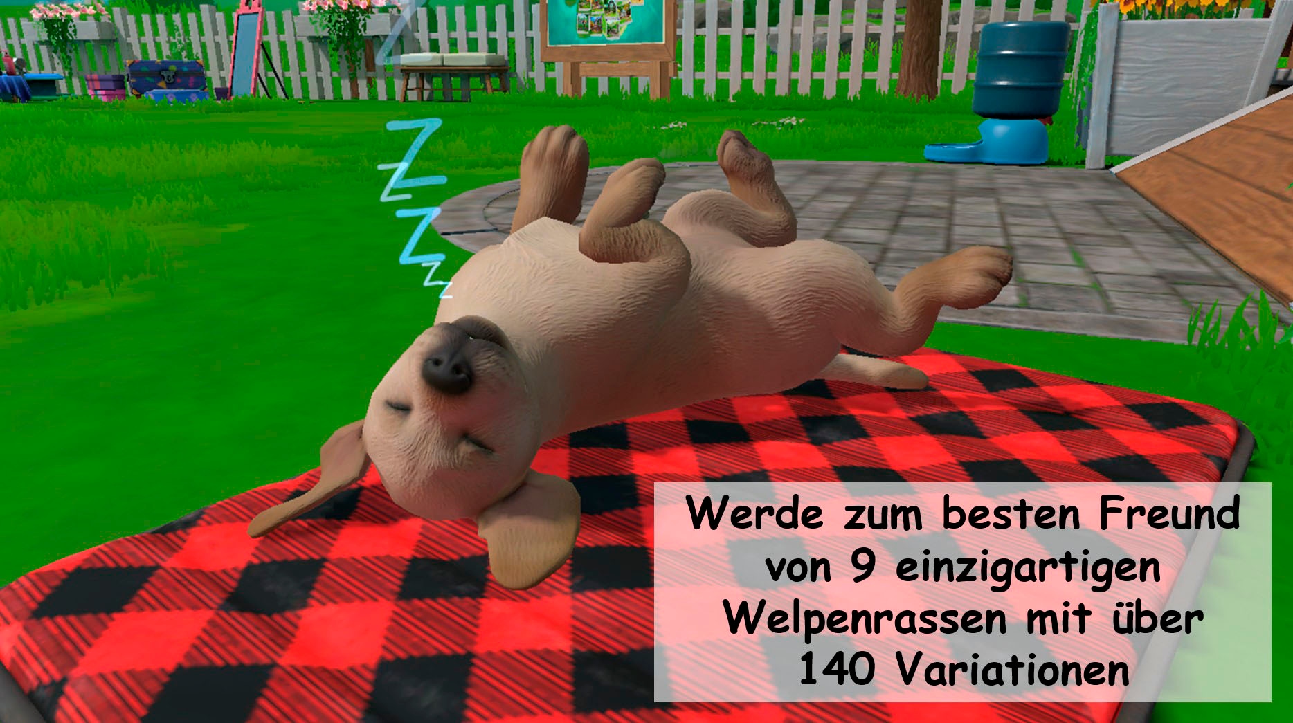 NBG Spielesoftware »Little Friends 2 Puppy Island (Code in a Box) - Nintendo Switch«, Nintendo Switch