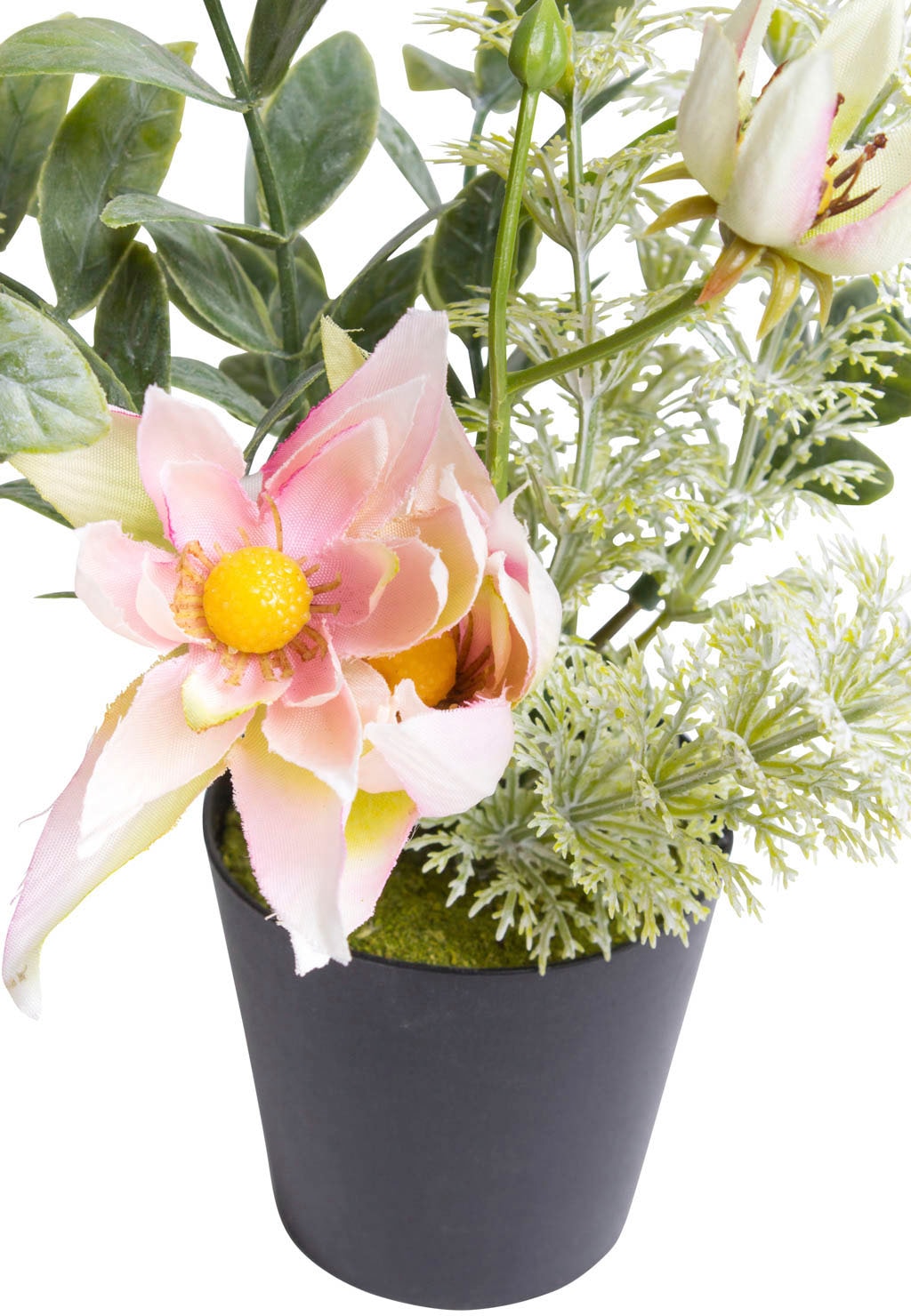 Botanic-Haus Künstliche Zimmerpflanze »Christrosen-Arrangement im schwarzen | kaufen Kunststofftopf« BAUR