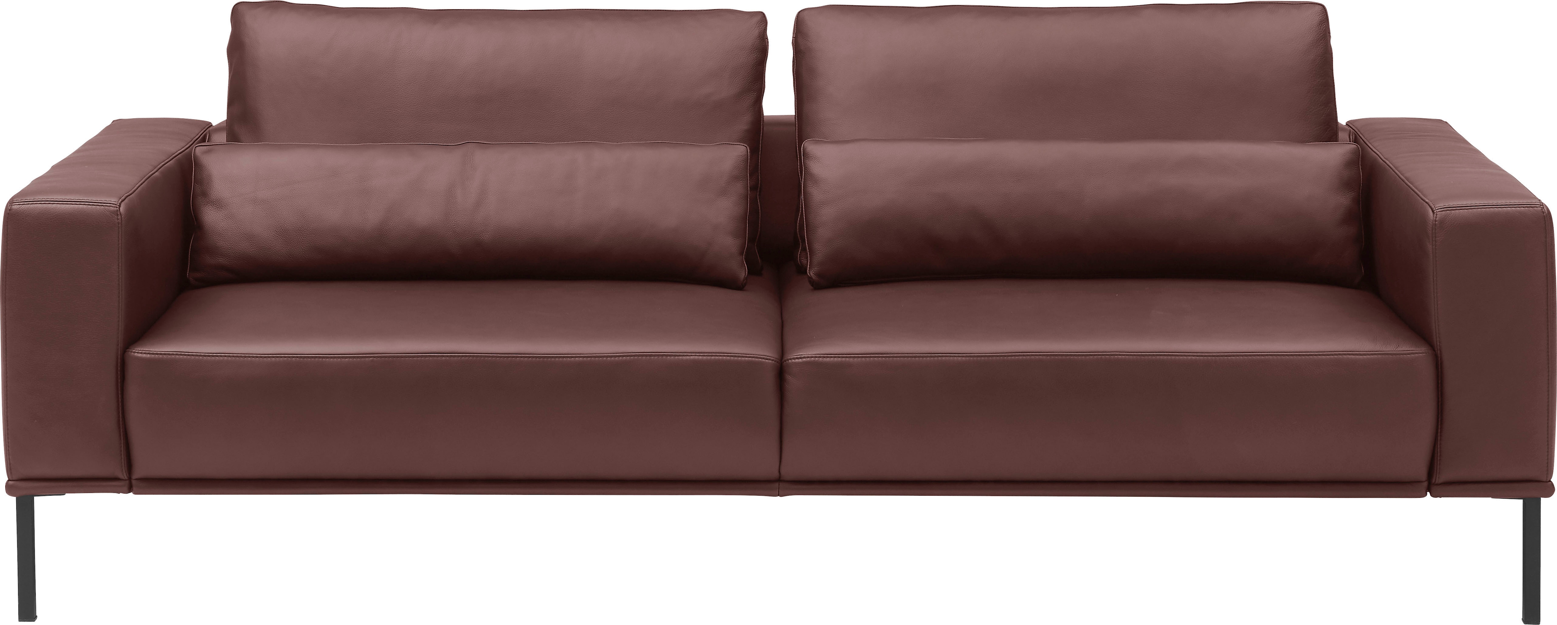 Musterring 3-Sitzer "JustBPM100, 222 cm breit, aus hochwertigem Leder" wahlweise mit Nierenkissen und mot. Sitzauszug, Metallfuß in schwarz