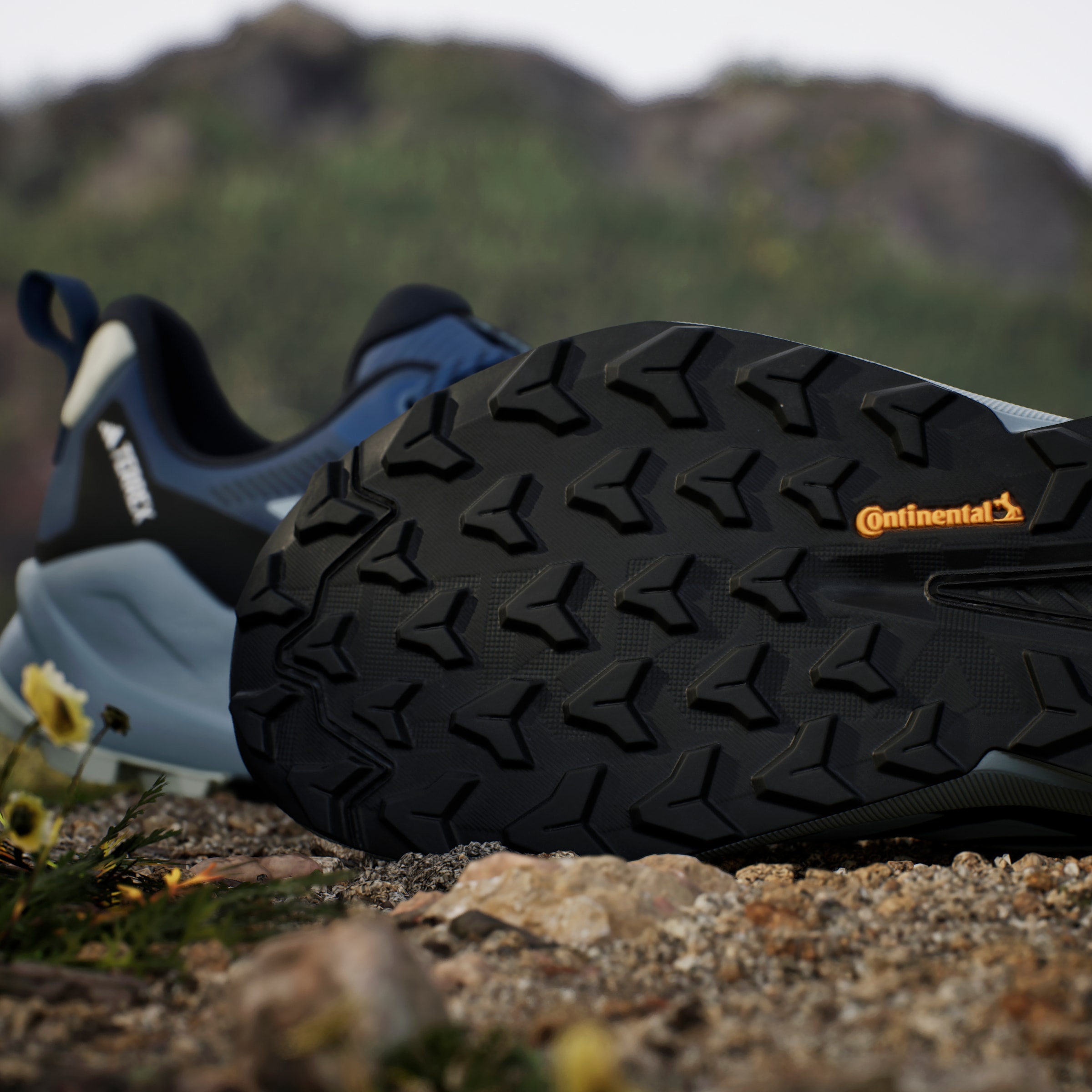 adidas TERREX Wanderschuh »TRAILMAKER 2«