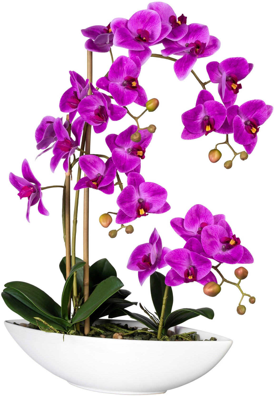 Creativ green Kunstorchidee "Phalaenopsis", im Keramikschiff