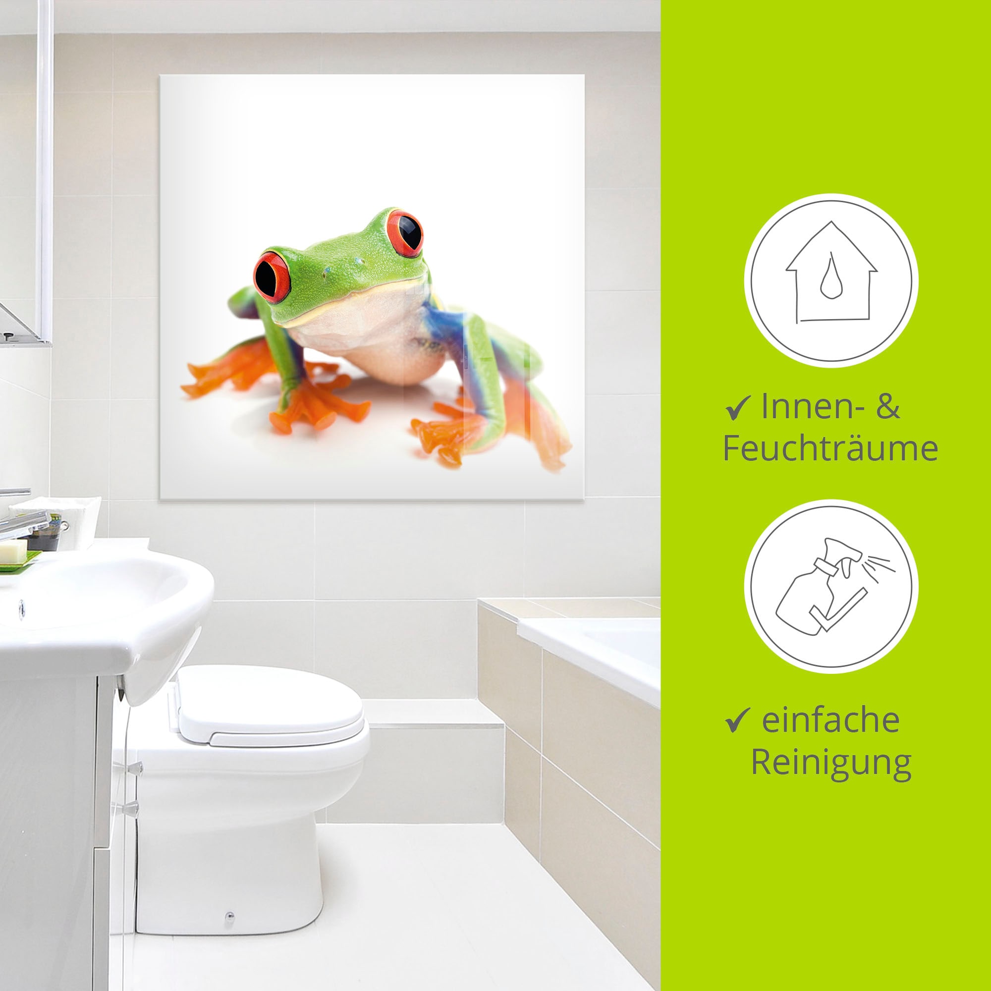 Artland Glasbild »Großaufnahme eines Frosches vor weiß«, Wassertiere, (1 St.), in verschiedenen Größen