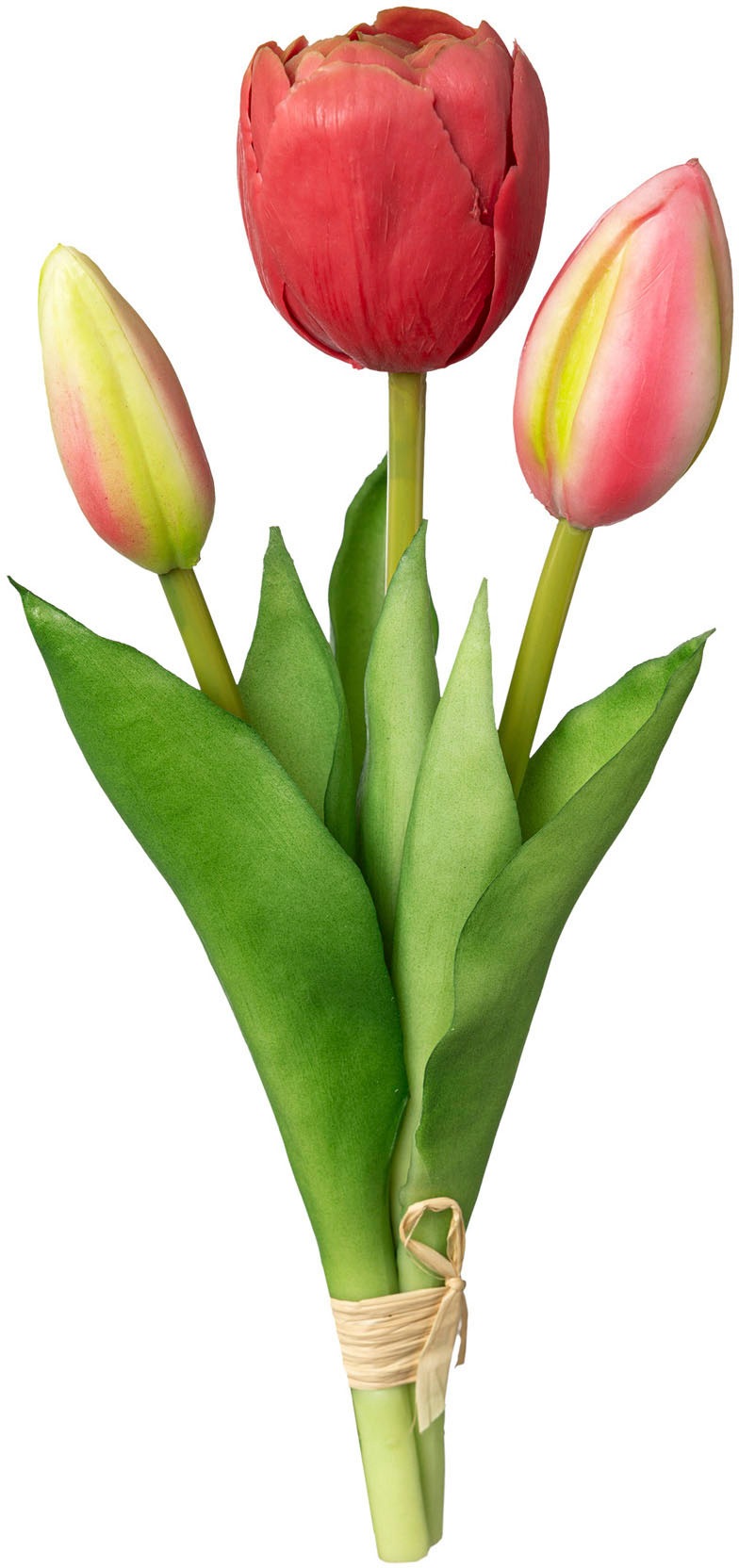 my home Kunsttulpe "Tulpenbund" günstig online kaufen