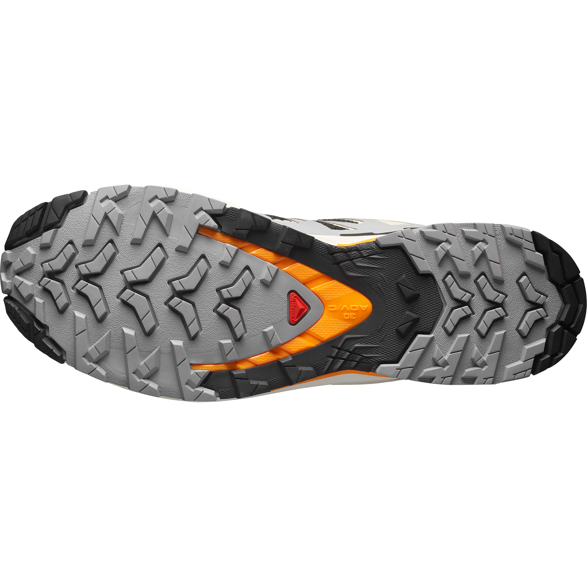 Salomon Trailrunningschuh »XA PRO 3D V9«