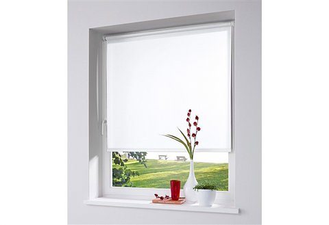 my home Seitenzugrollo "Themse-Uni" Lichtschutz Sichtschutz ohne Bohren fre günstig online kaufen