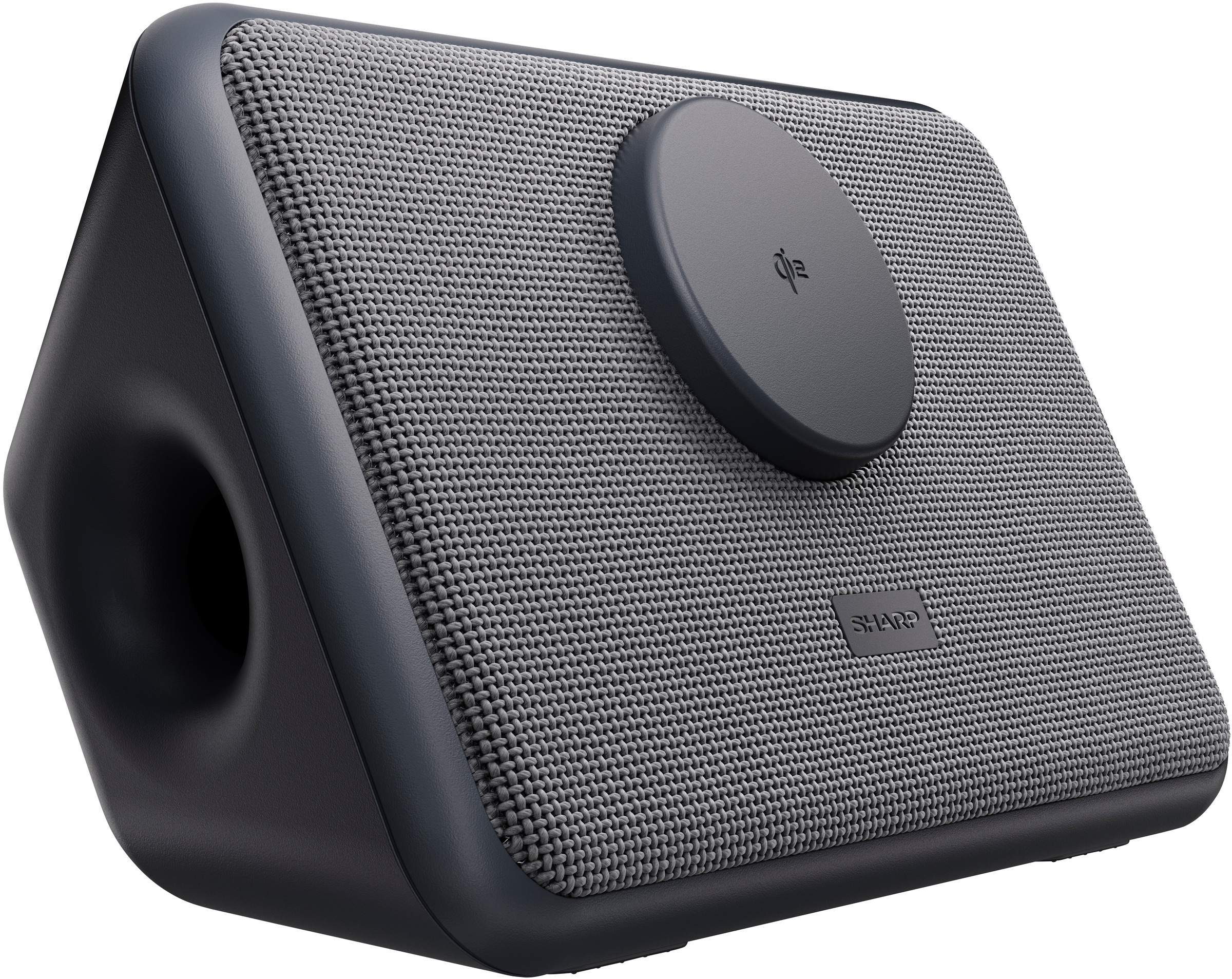 Sharp Bluetooth-Lautsprecher »CP-DS09« Stereo (A2DP Bluetooth | AVRCP Bluetooth | Bluetooth Apple Siri | Google Assistant | Ladefunktion für Mobilgeräte | Lautstärkeregelung )