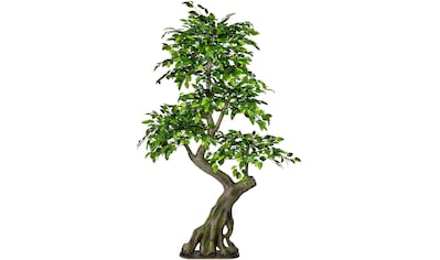 Creativ green Kunstbaum »Ficus Benjamini«, (1 St.) kaufen