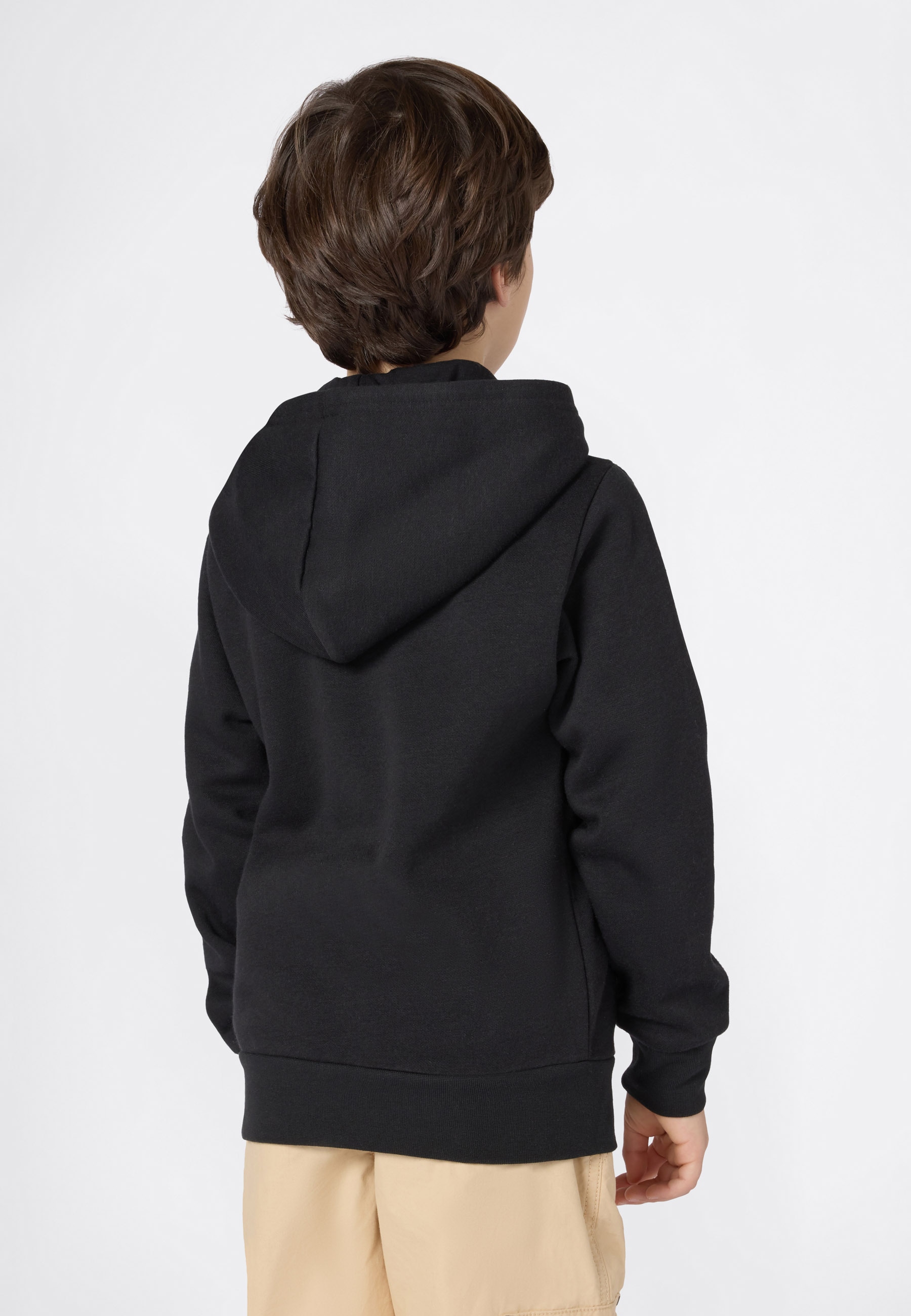 Champion Kapuzensweatshirt, (1 tlg.)