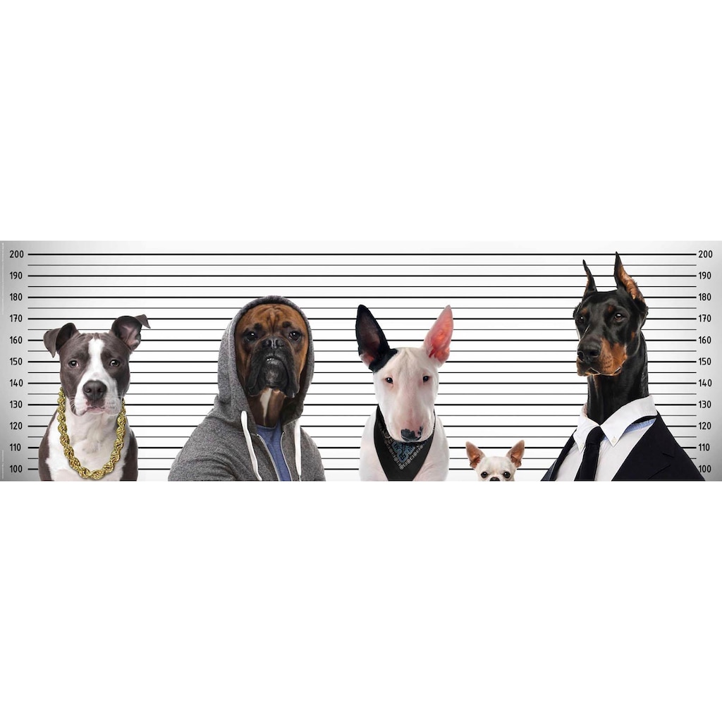 Home affaire Deco-Panel »Most Wanted Dogs«