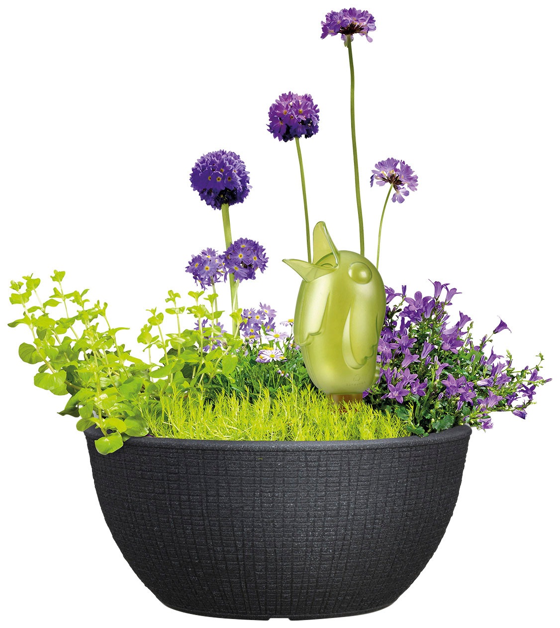 Scheurich Blumentopf »40/297 BARCEO BOWL«