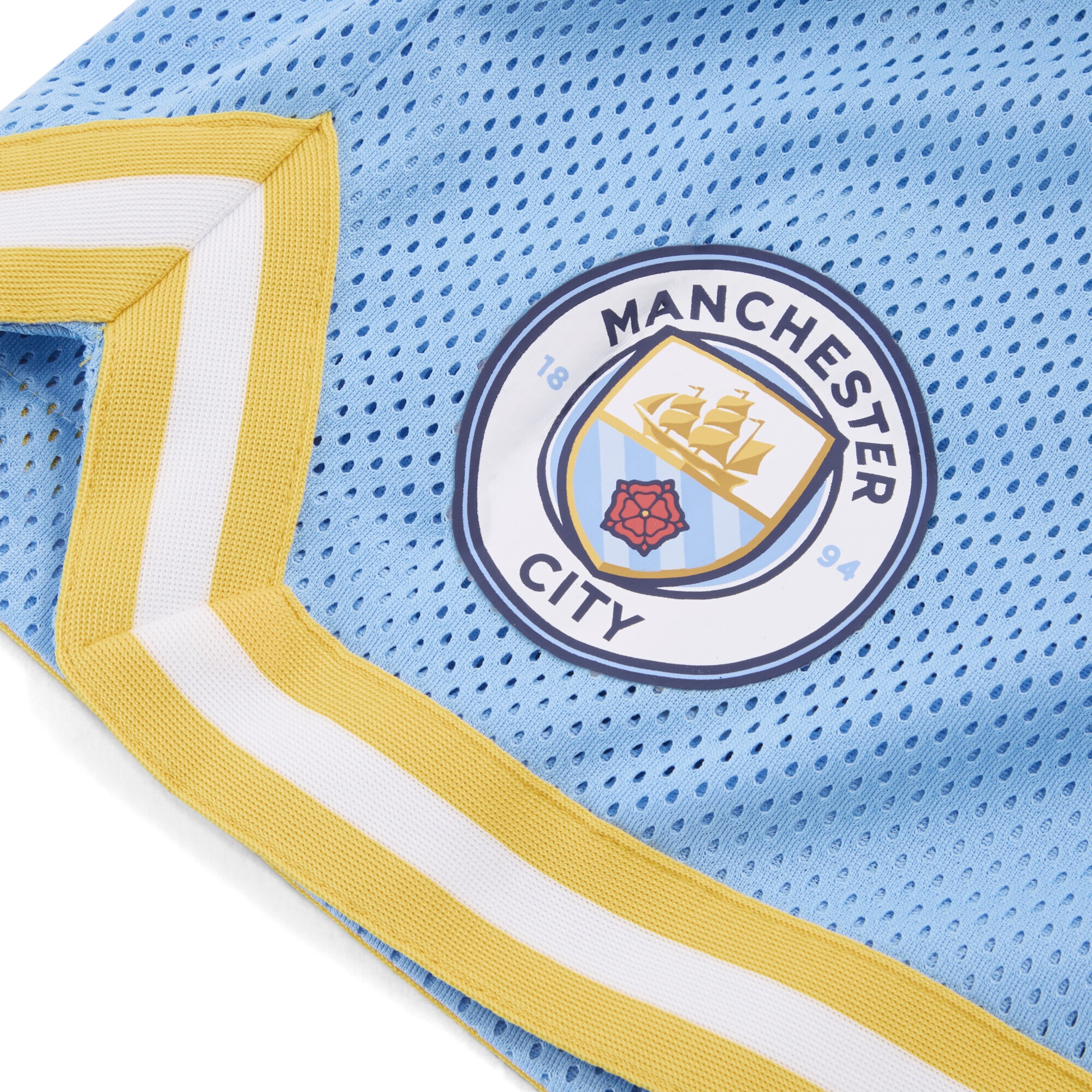 PUMA Shorts »PUMA HOOPS x MANCHESTER CITY Basketballshorts Herren«