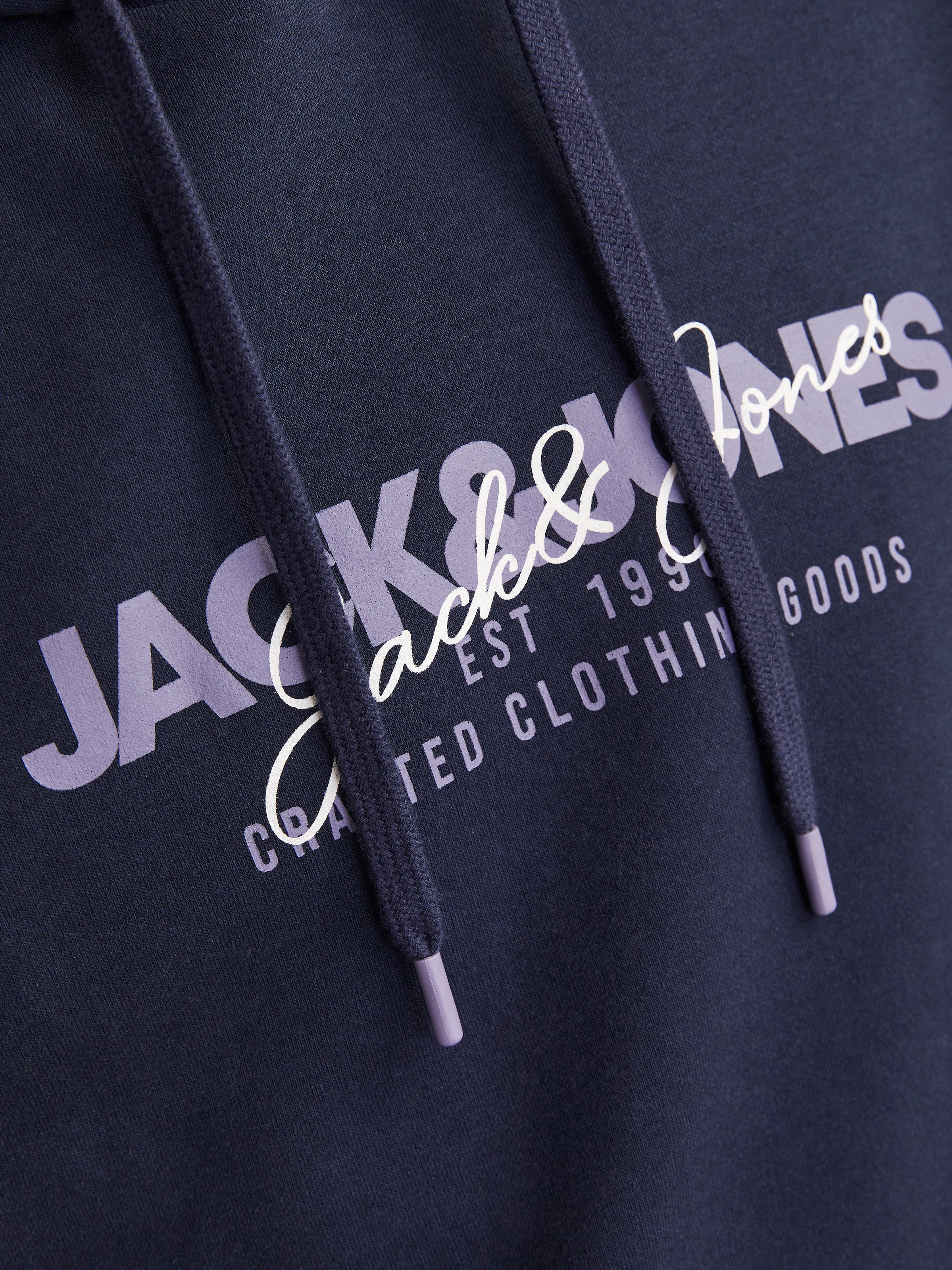 Jack & Jones Kapuzensweatshirt »JJALVIS SWEAT HOOD«